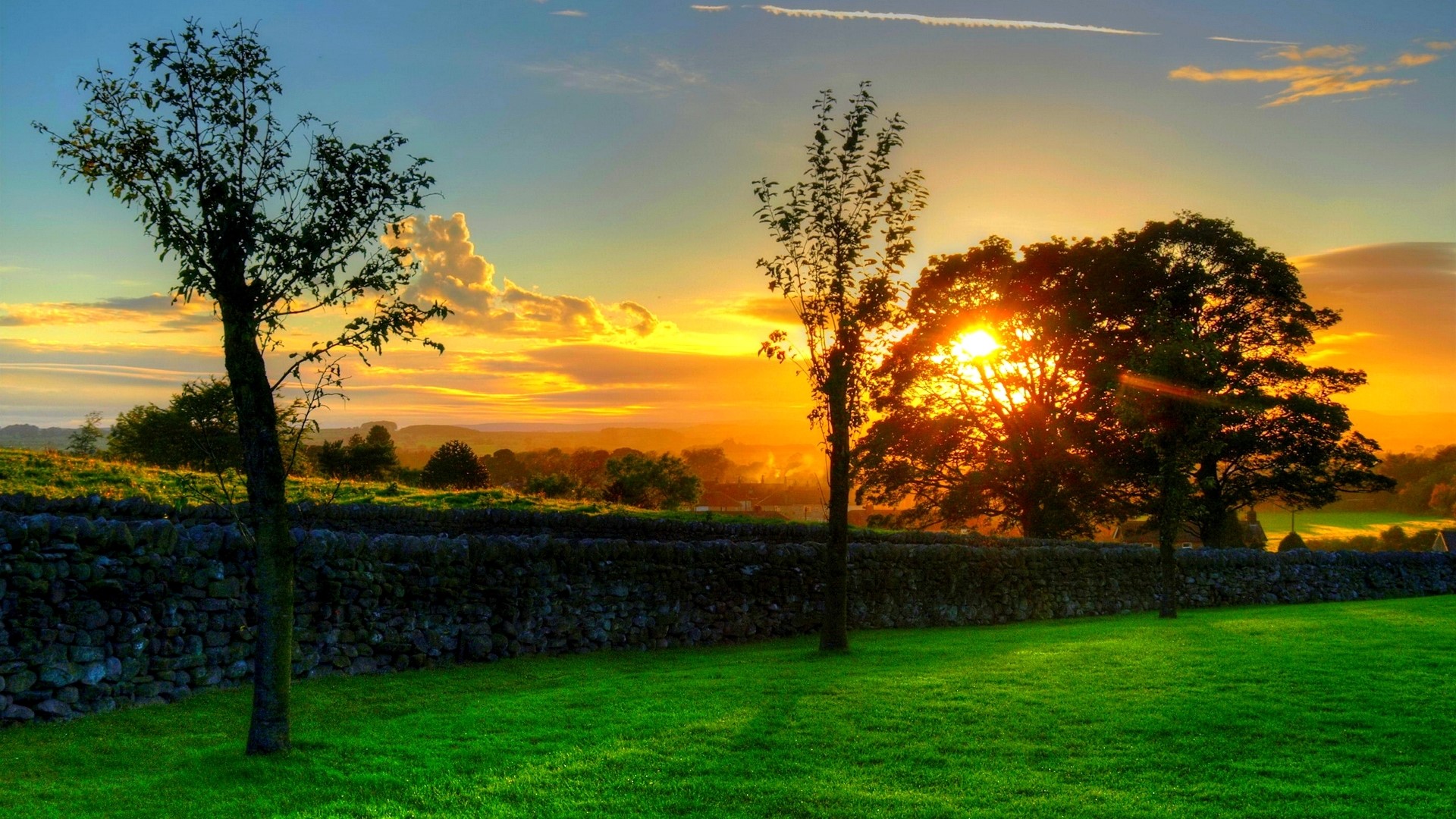 Sunset over a stone wall and trees HD Wallpaper