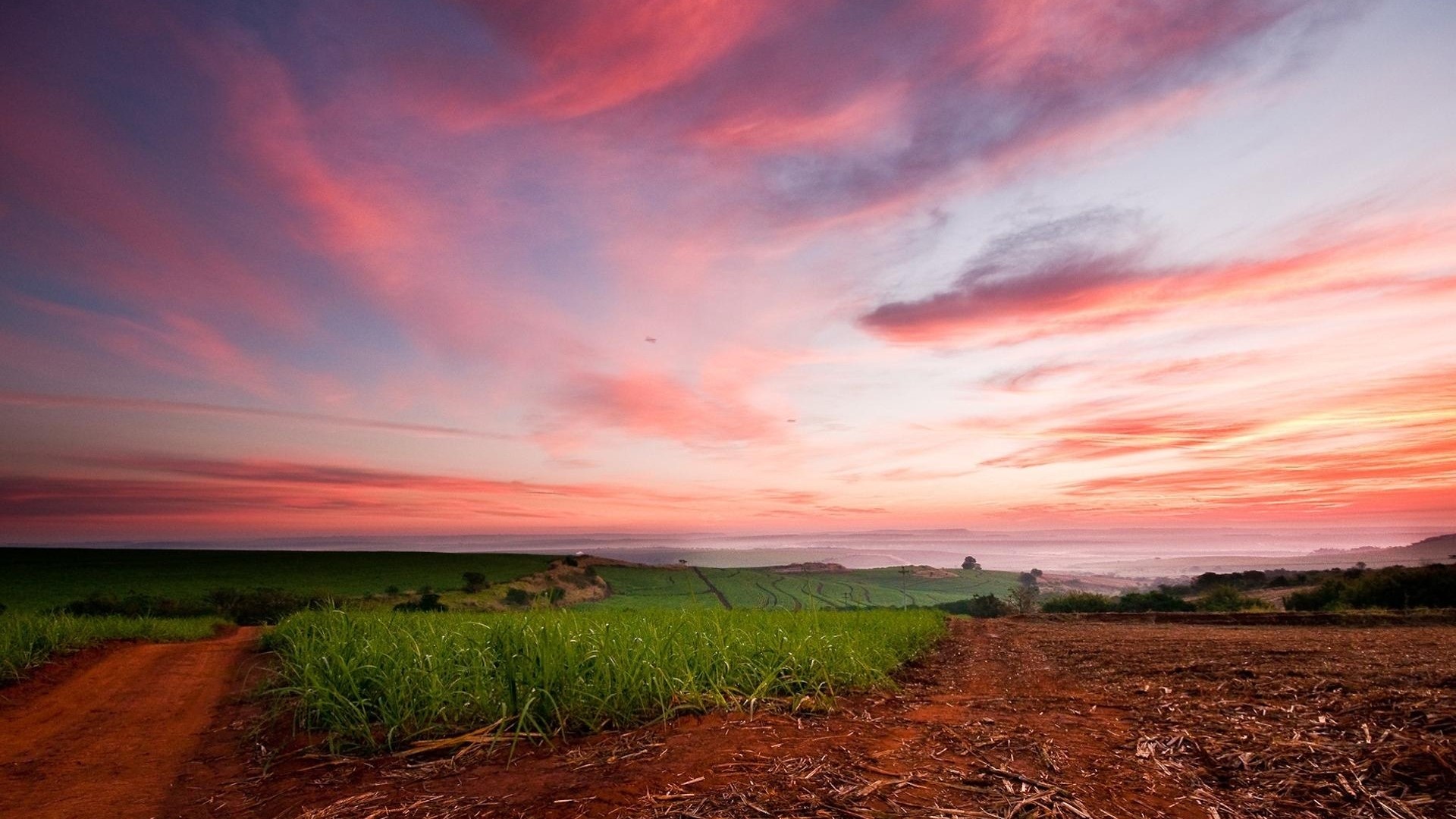 Pinkish Sunset Over Agricultural Fields HD Wallpaper