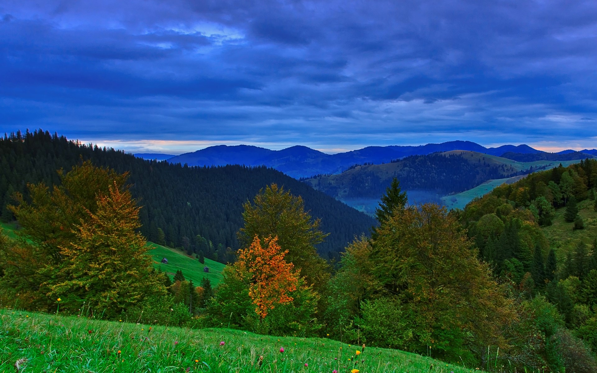 Mountain landscape with trees and clouds HD Wallpaper