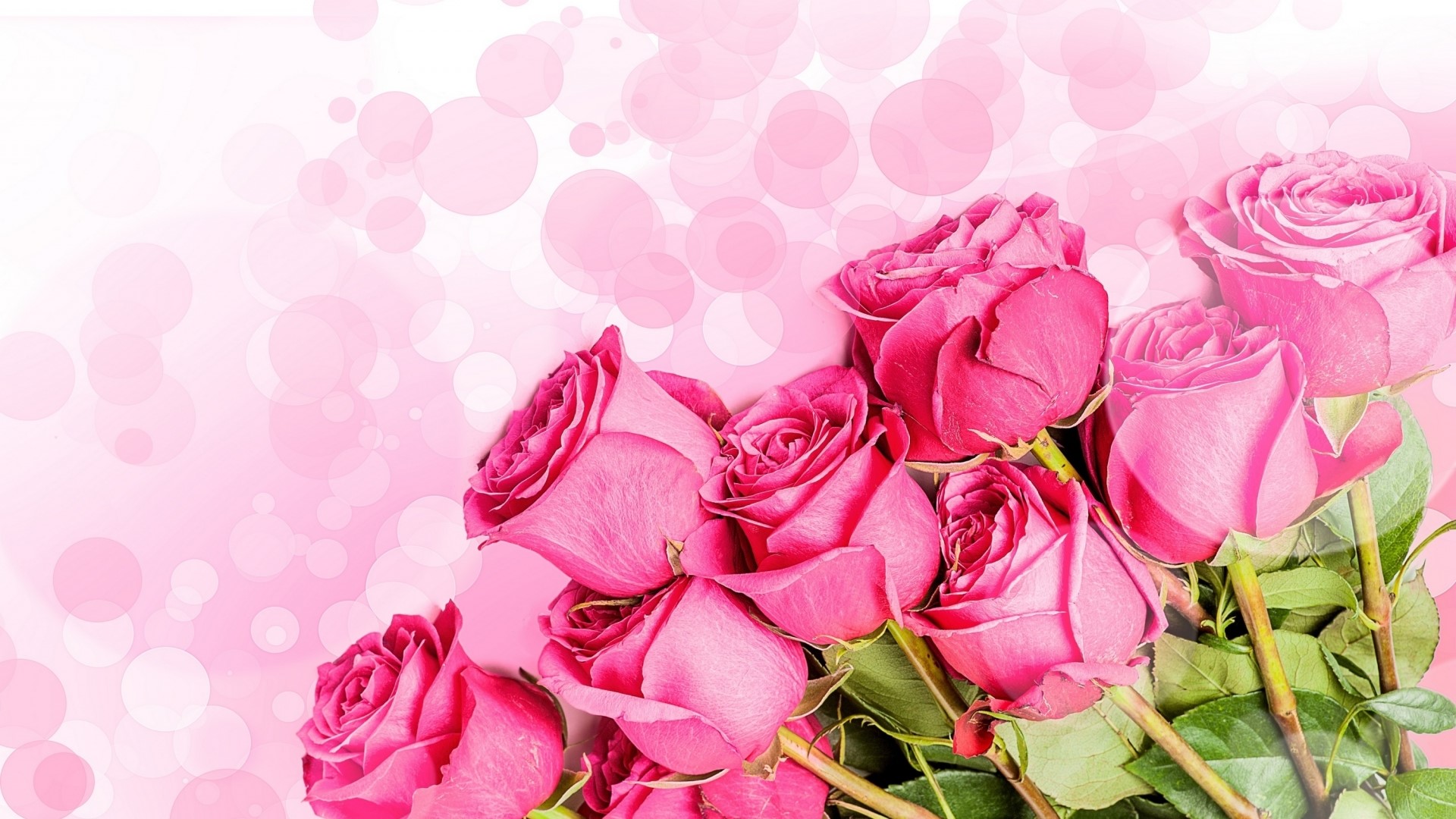 Pink roses bouquet on pink bokeh background HD Wallpaper