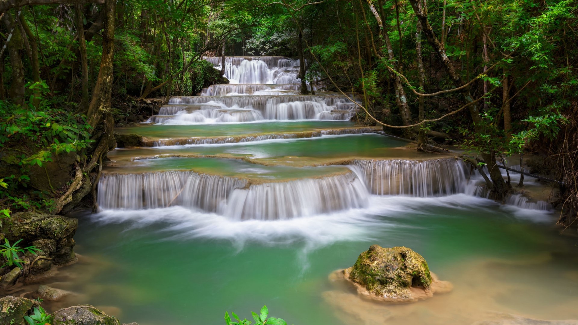 Cascading waterfall in a lush green forest HD Wallpaper