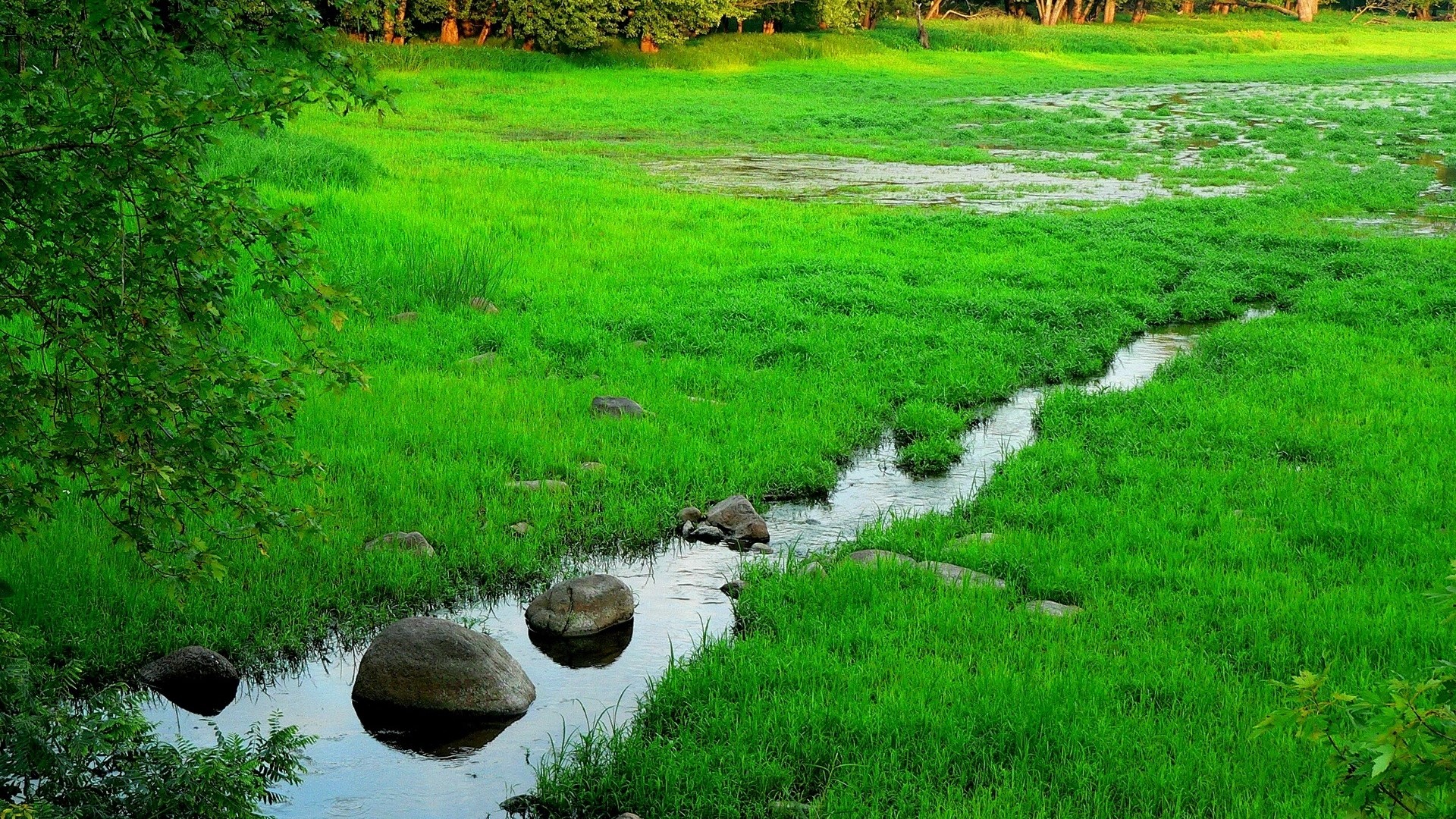 Little stream in a green meadow HD Wallpaper