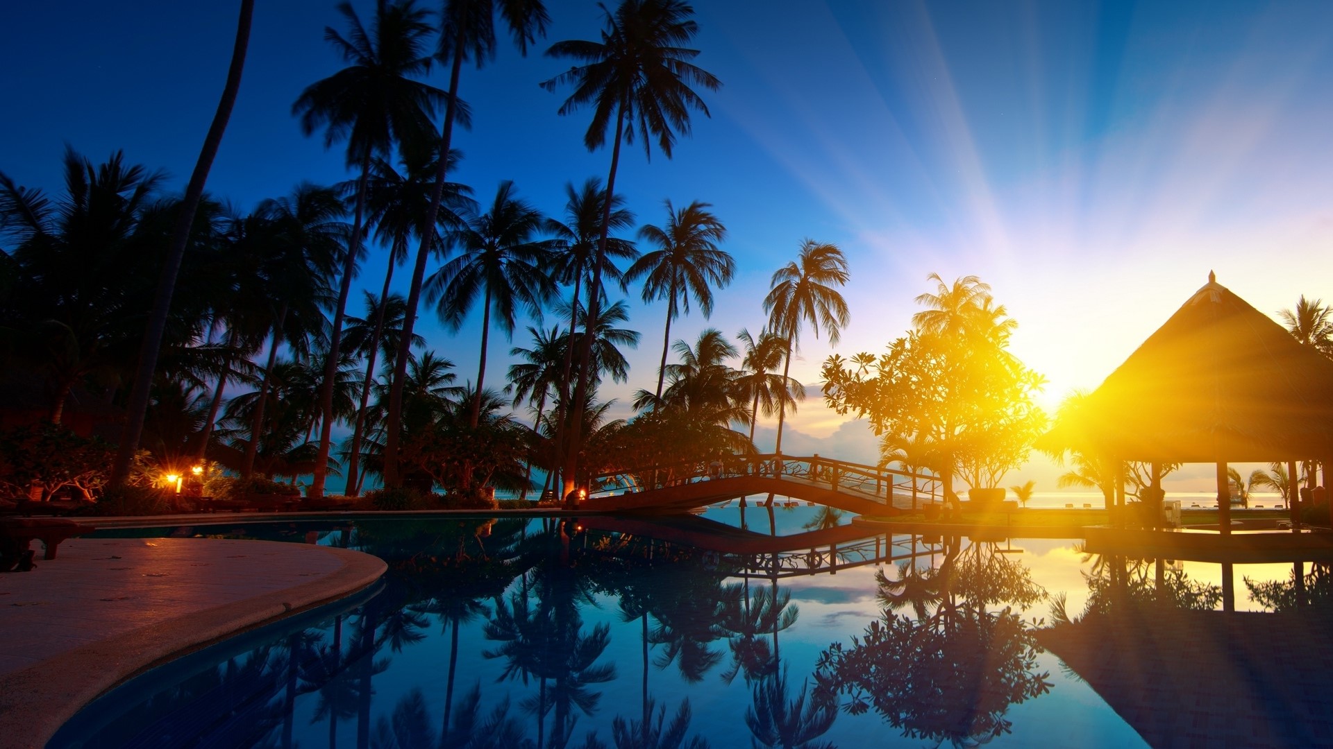 Sunrise over tropical resort with pool and palm trees HD Wallpaper