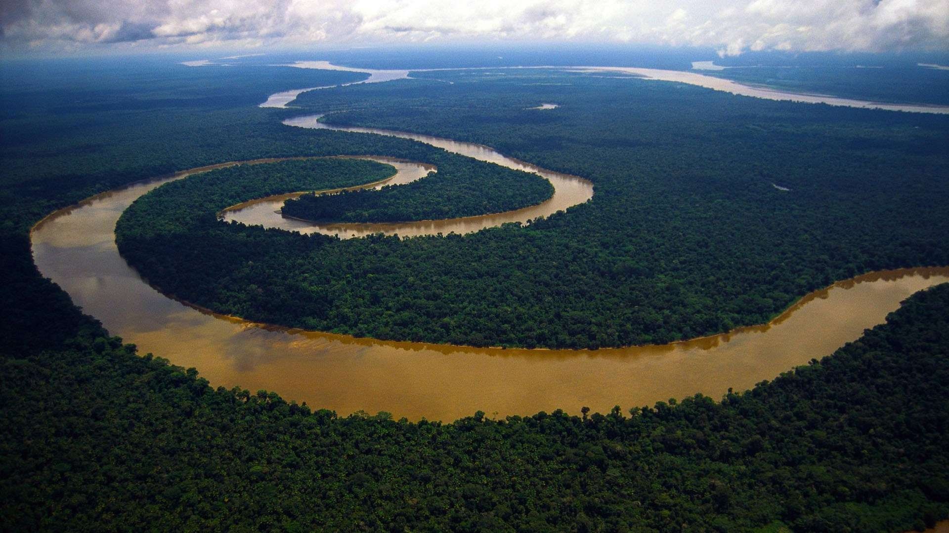 Aerial view of a winding river through a dense rainforest HD Wallpaper