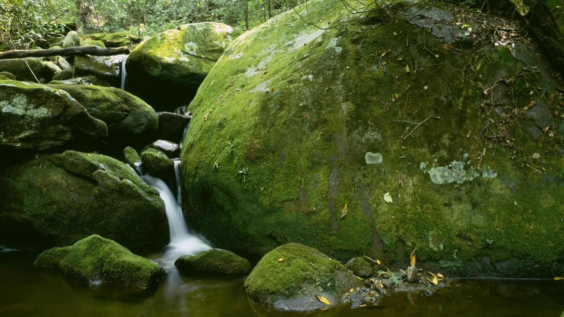 Moss-covered rocks and a waterfall in a forest HD Wallpaper