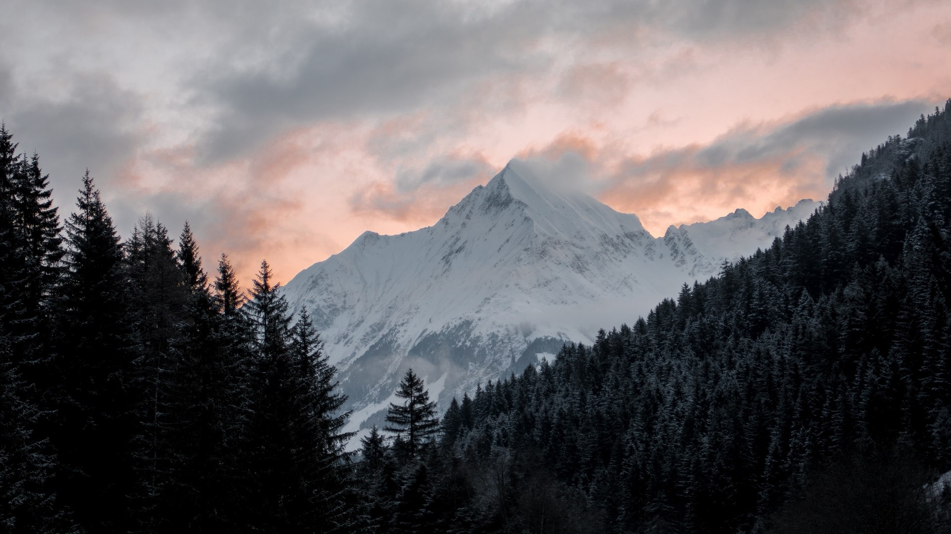 Snowy Mountain Peak Behind Dark Forest at Sunset HD Wallpaper