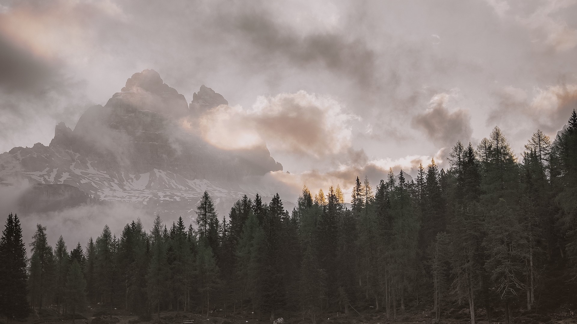 Misty mountains and pine forest at sunset HD Wallpaper
