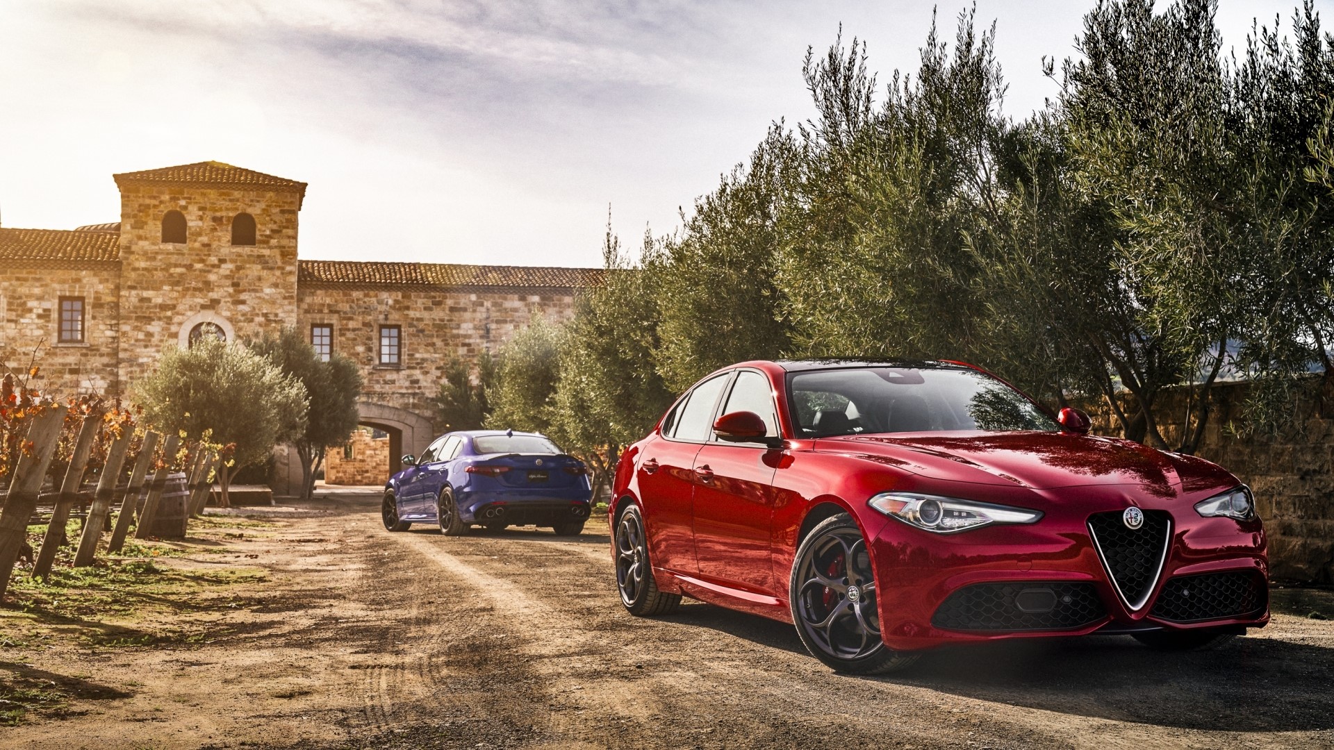 Alfa Romeo cars at a vineyard estate HD Wallpaper