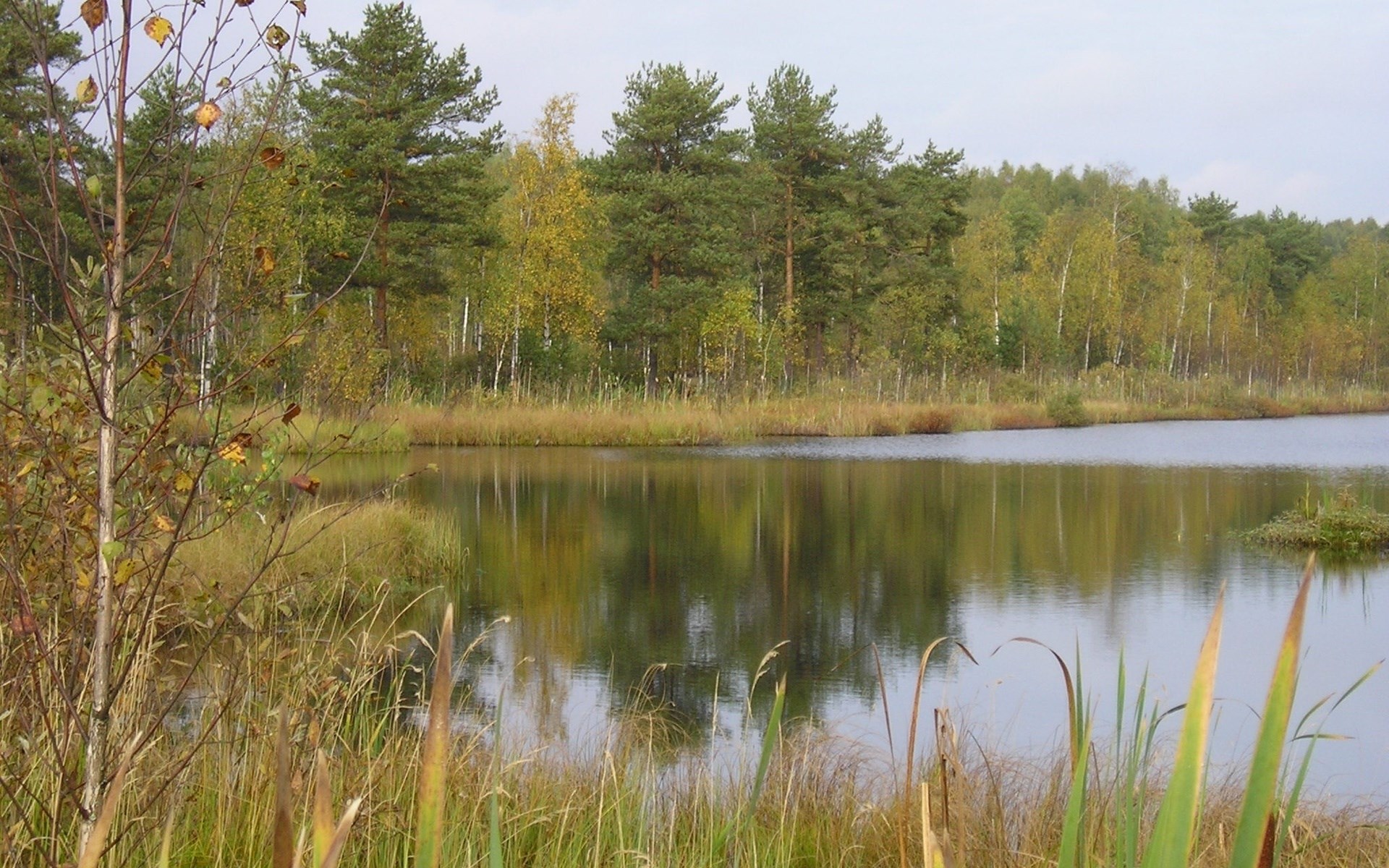 Autumn forest reflected in a calm lake HD Wallpaper