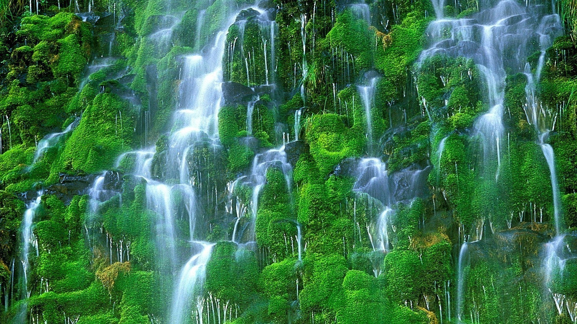 Green mossy waterfall cascading down rocks HD Wallpaper