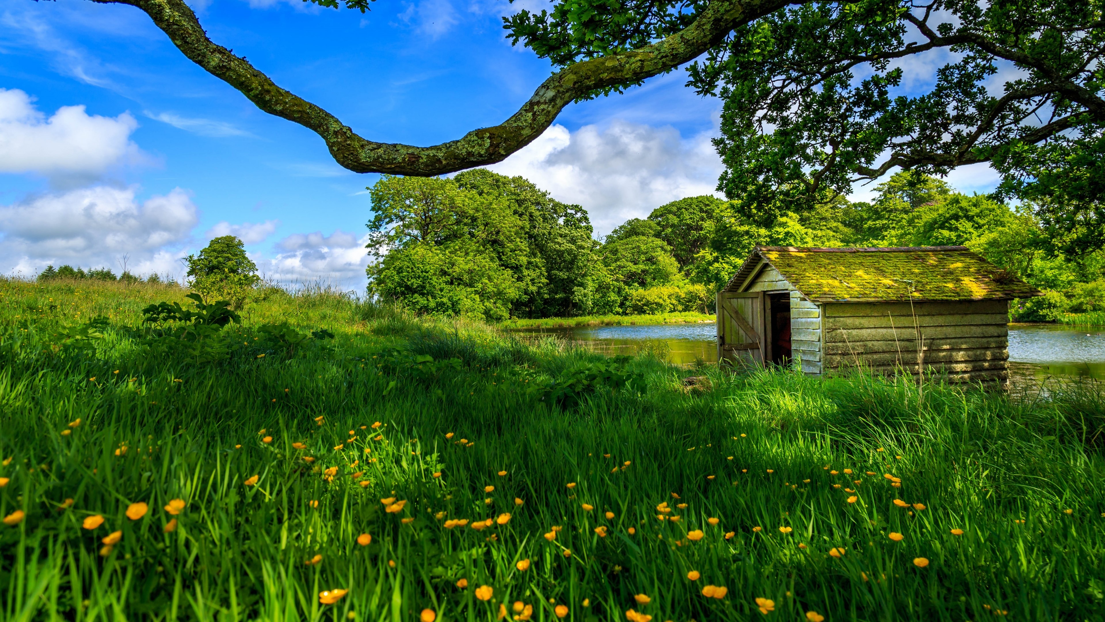 Wooden house on the shore of a lake HD Wallpaper