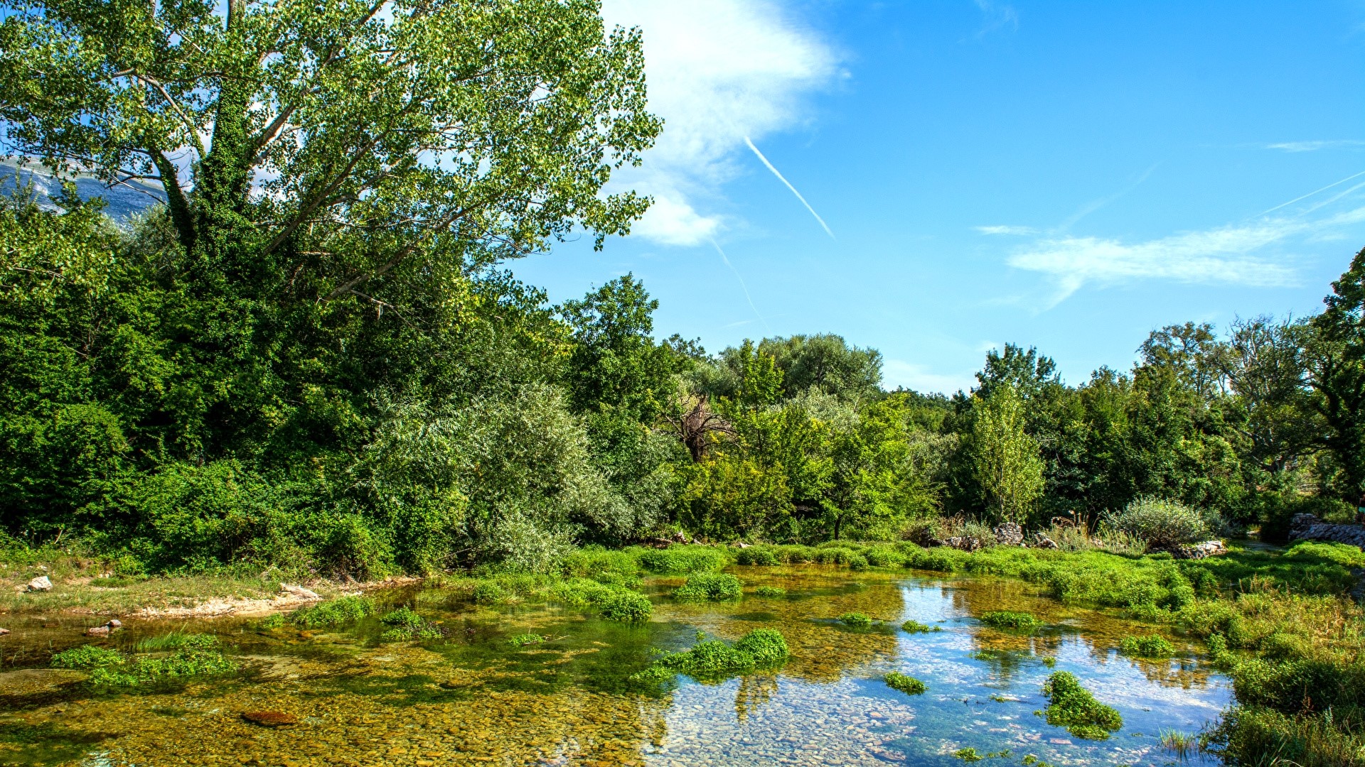 Croatia Cetina River with Greenery and Blue Sky HD Wallpaper