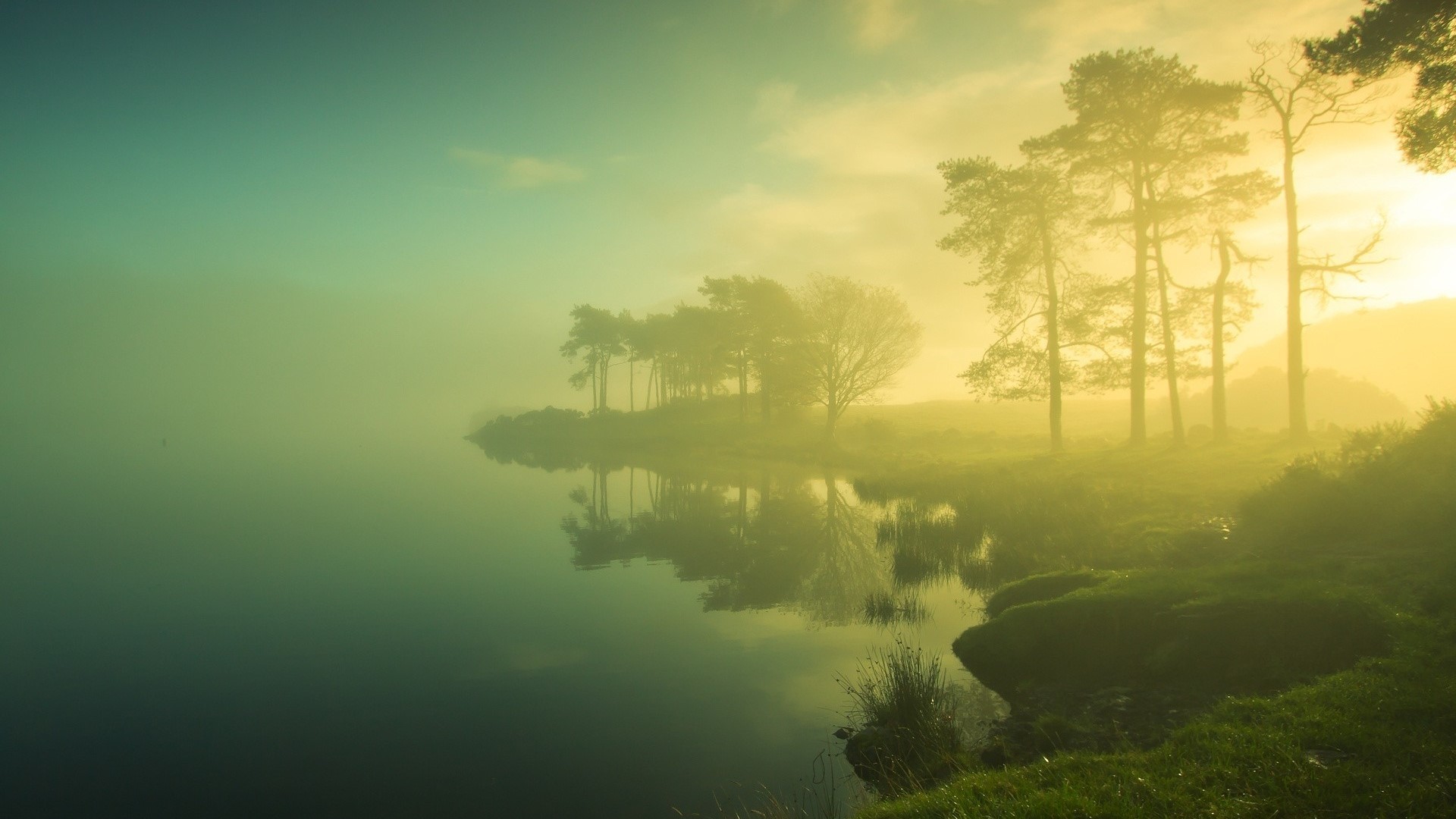 Misty lake with trees and reflections HD Wallpaper