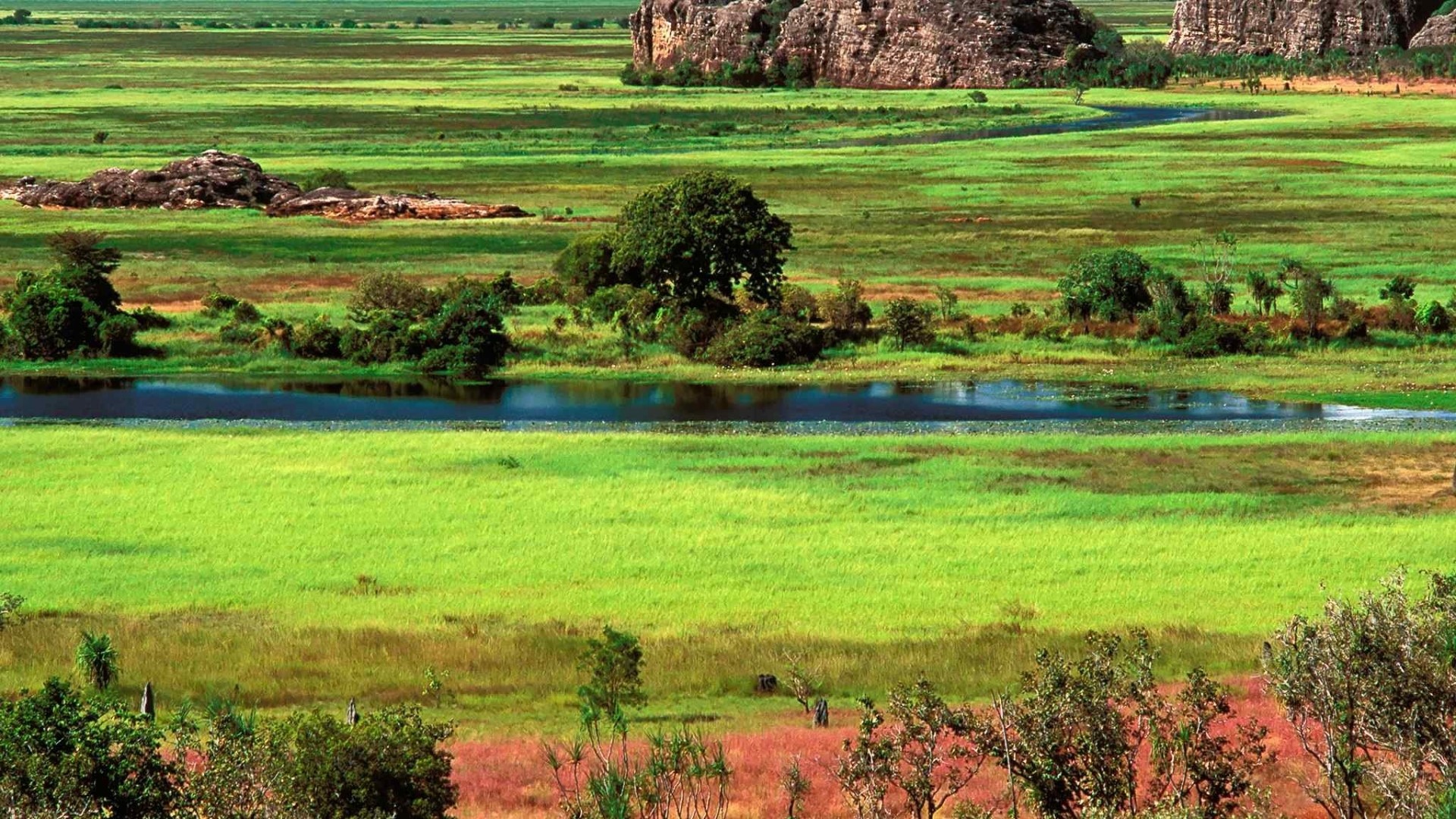 Vast green savanna with river and rock formations HD Wallpaper