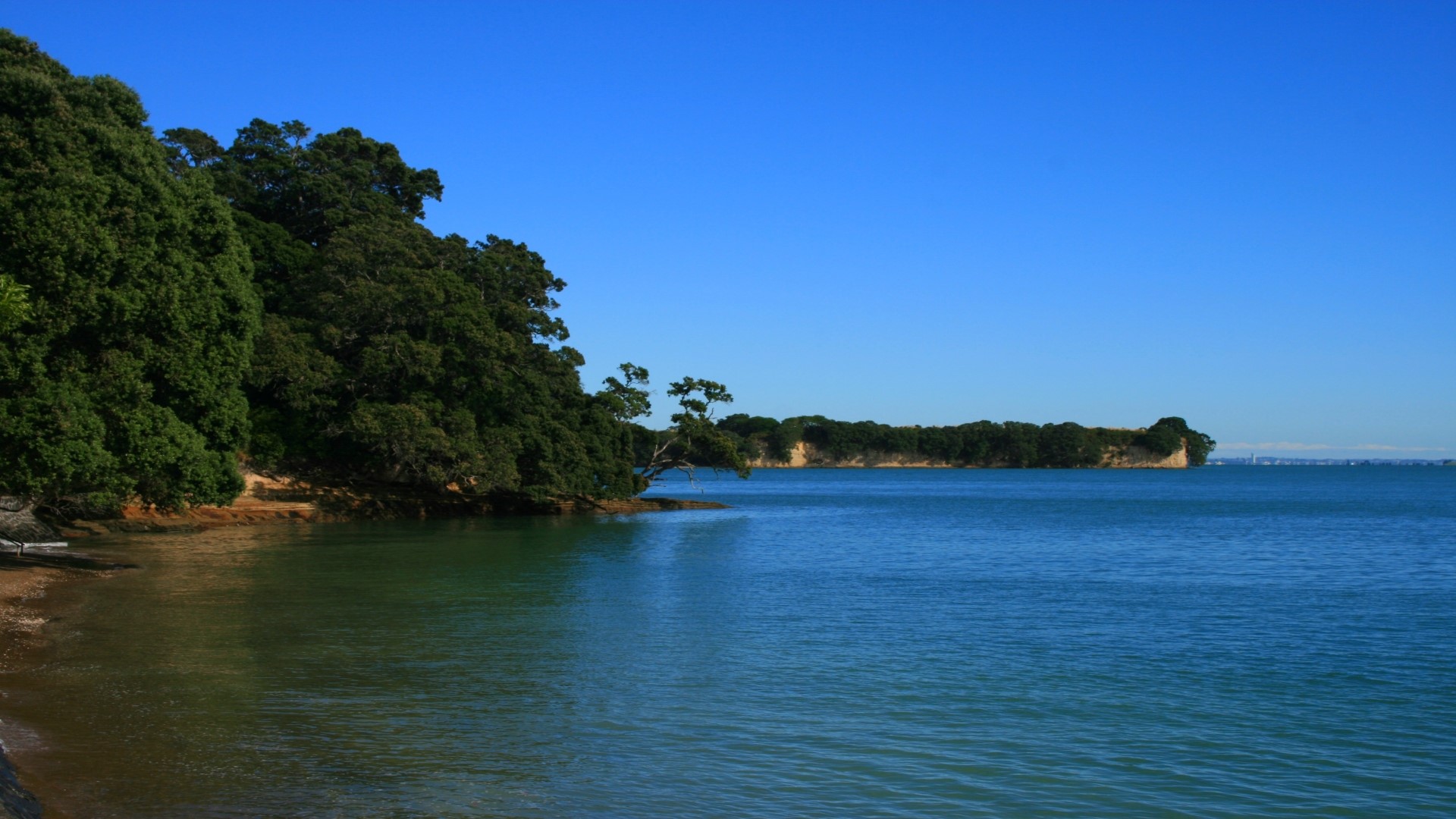Coastline with trees and blue sky HD Wallpaper