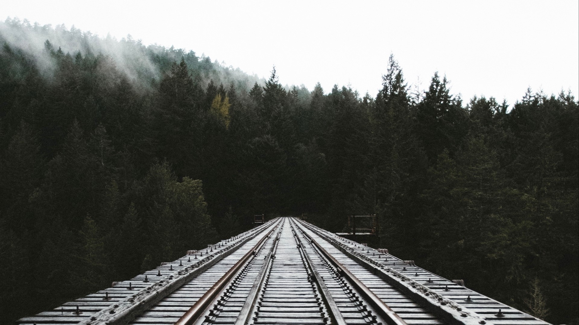 Railway bridge through a misty forest HD Wallpaper
