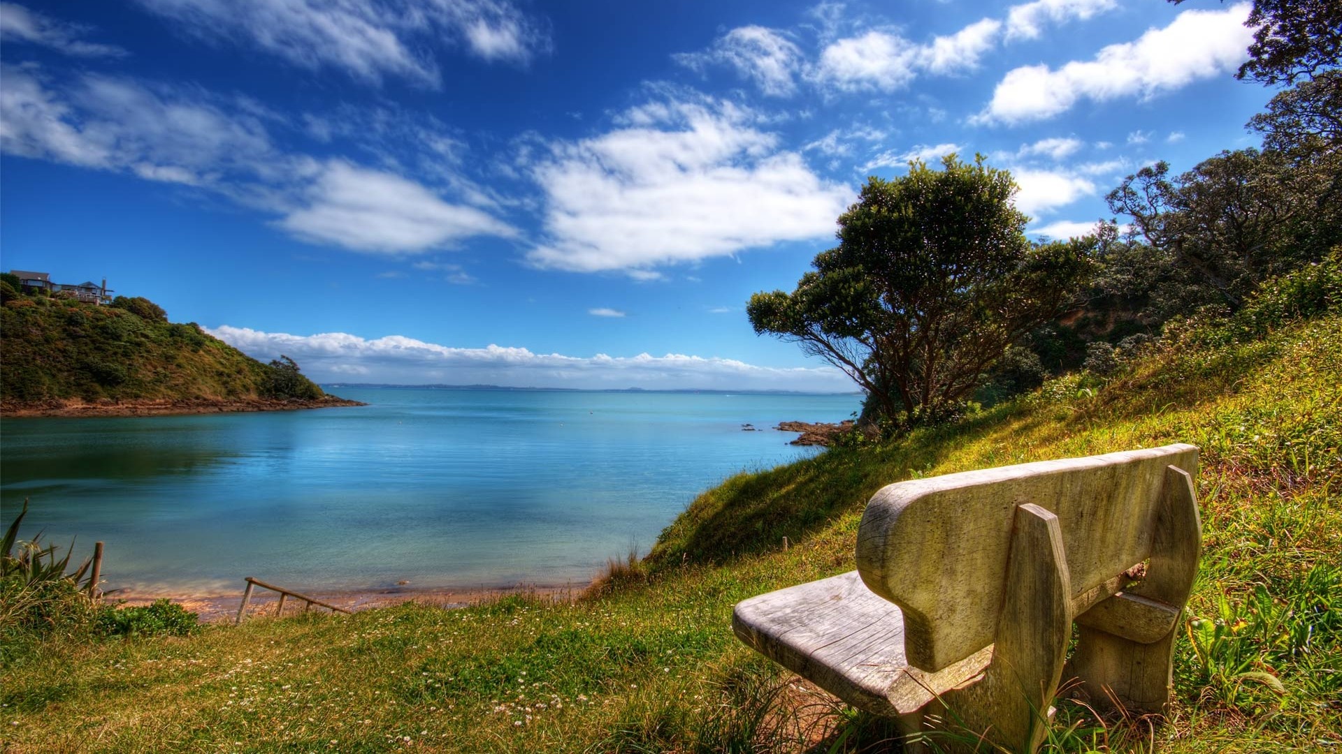 Wooden bench overlooking a bay with a hill and trees HD Wallpaper