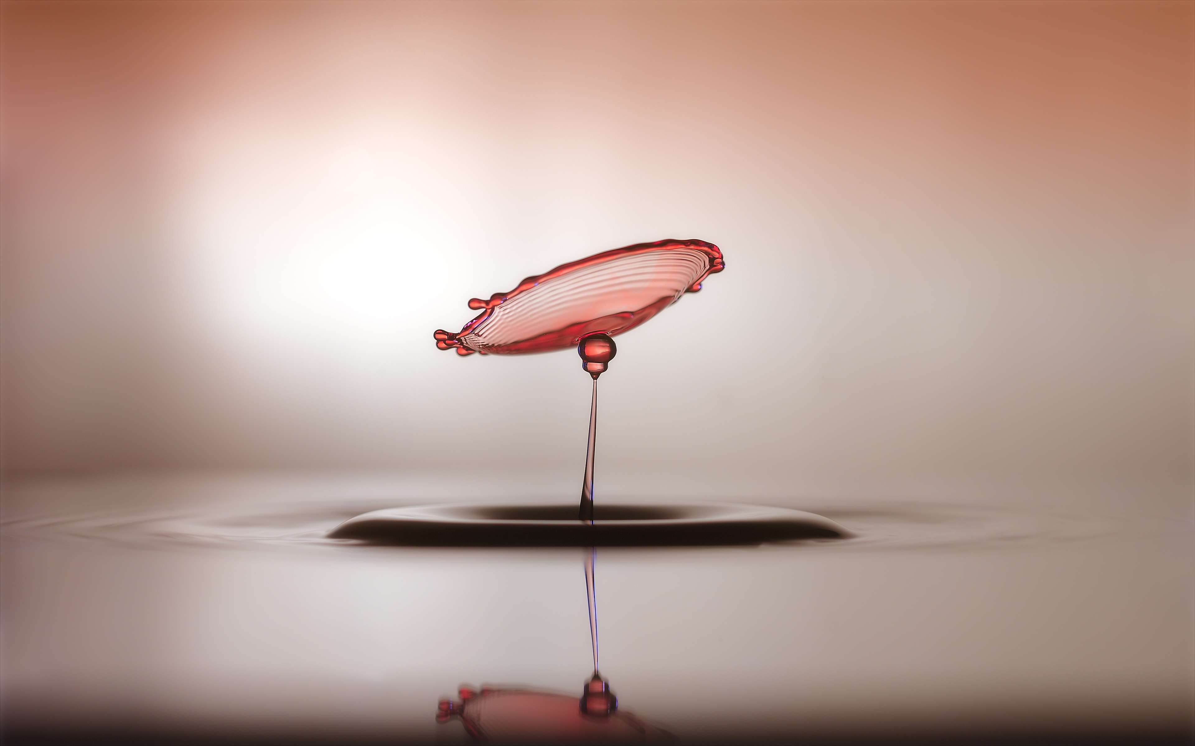 Water drop collision with ripple and reflection HD Wallpaper