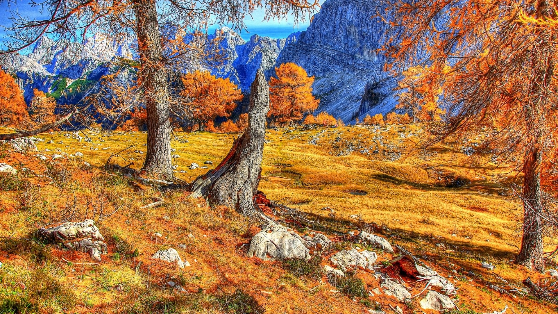 Autumn mountains with trees and rocks HD Wallpaper