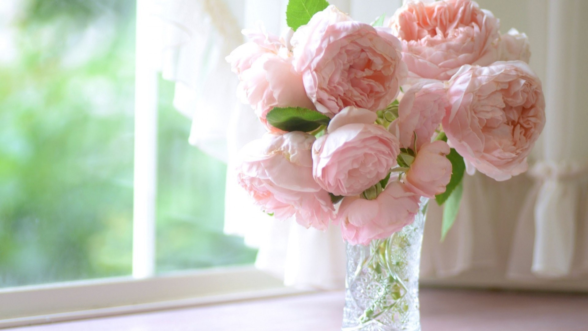 Pink Roses in a Vase on a Windowsill HD Wallpaper