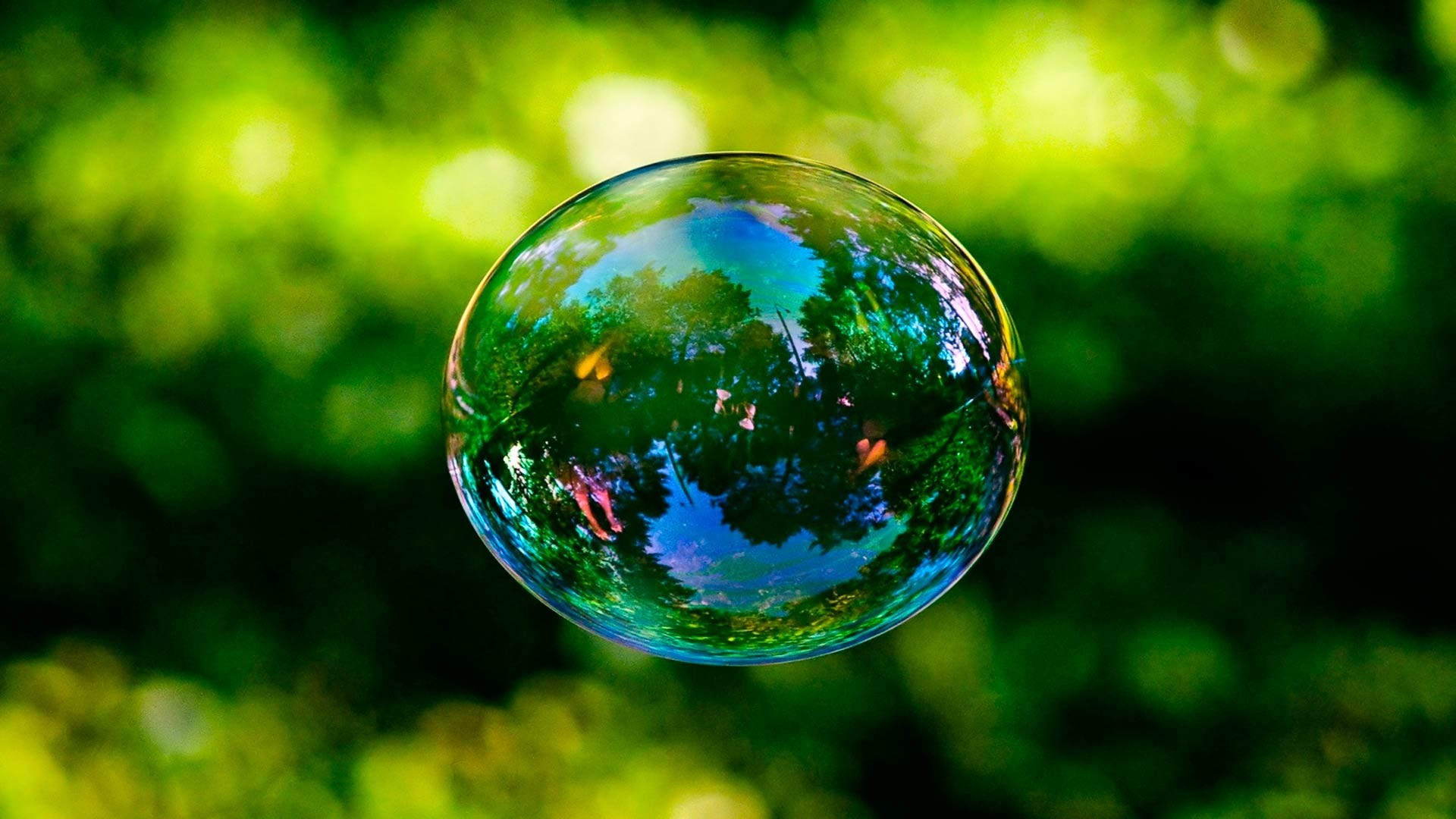 Bubble reflecting trees and sky HD Wallpaper