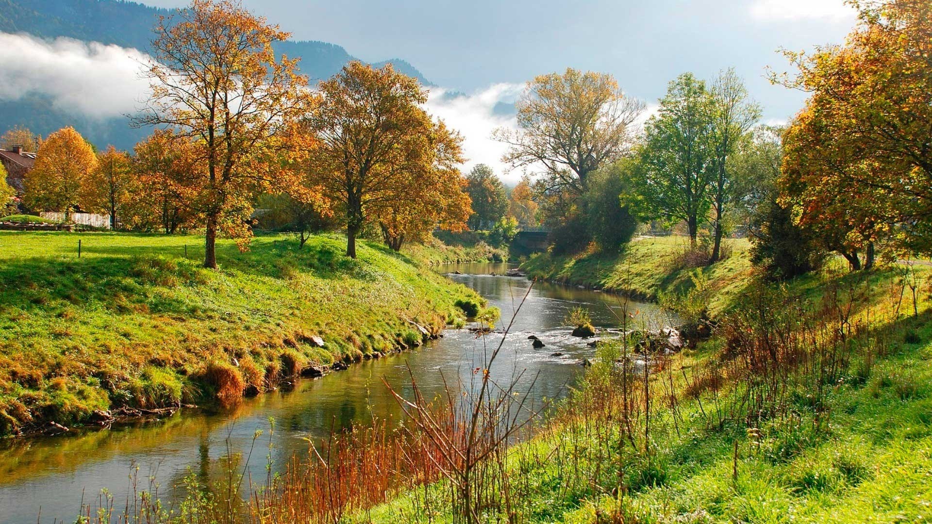 Autumn river flowing through a valley with trees HD Wallpaper