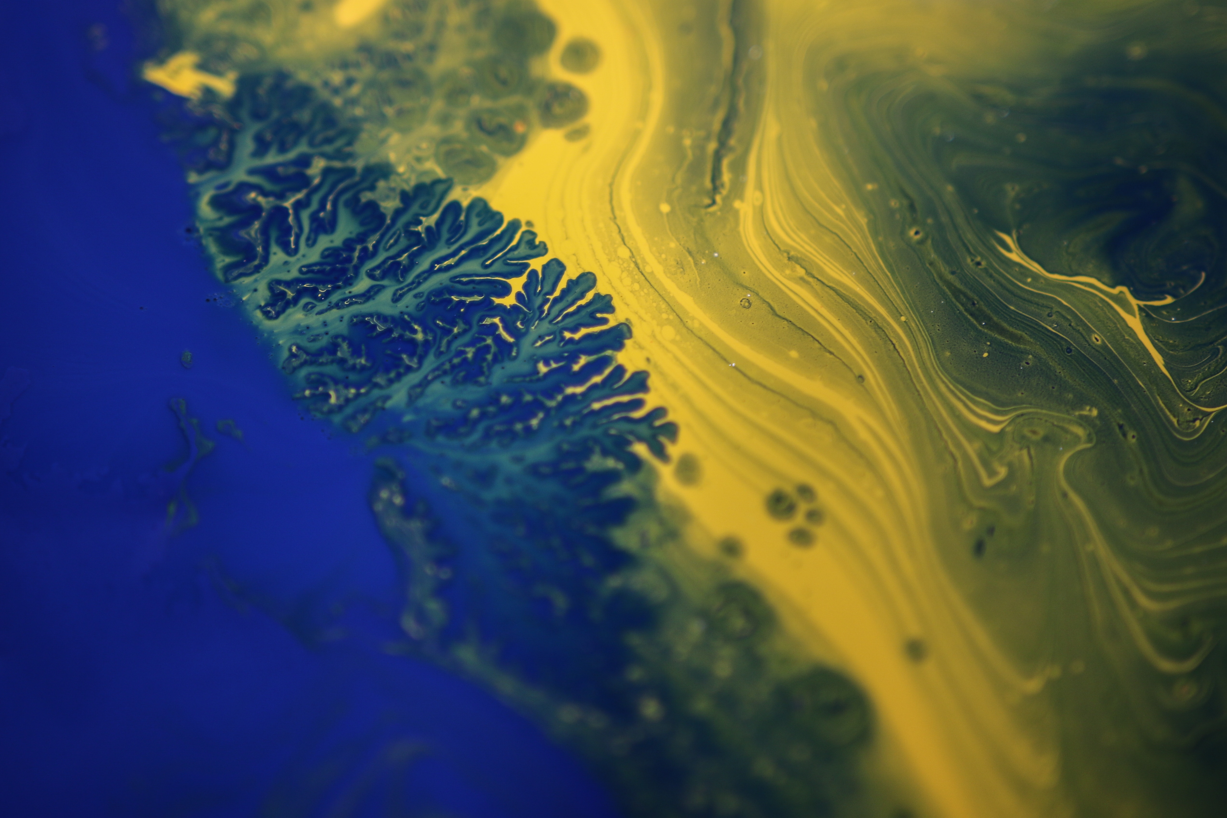 Abstract blue and yellow fractal patterns HD Wallpaper