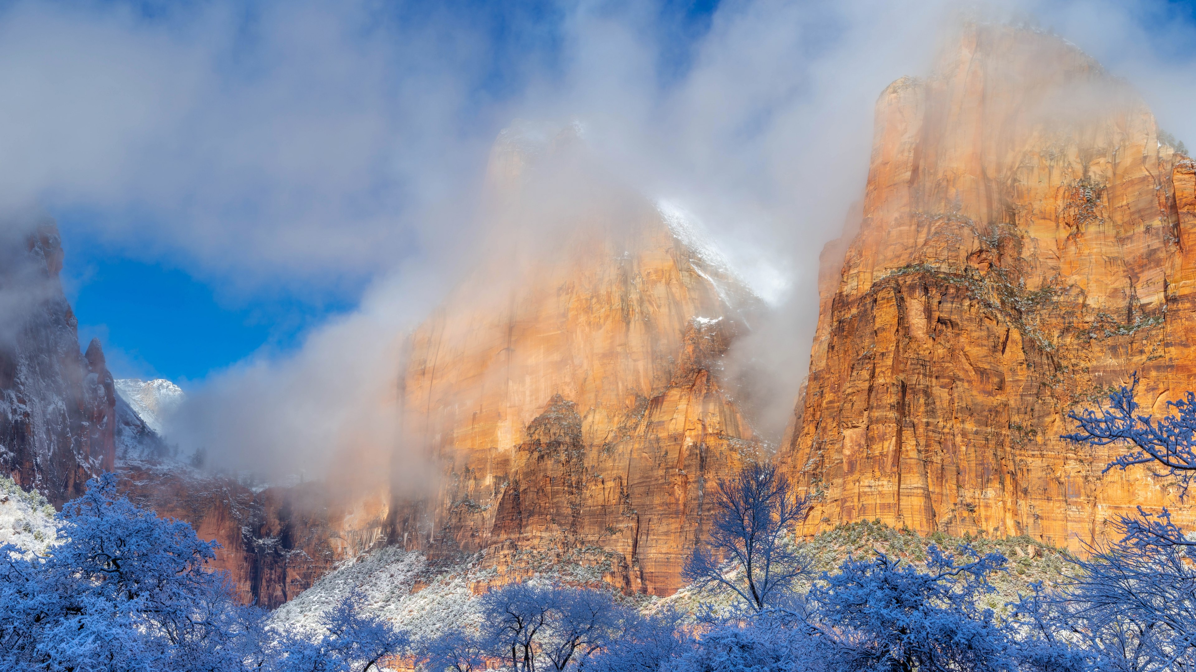 Zion national park usa HD Wallpaper