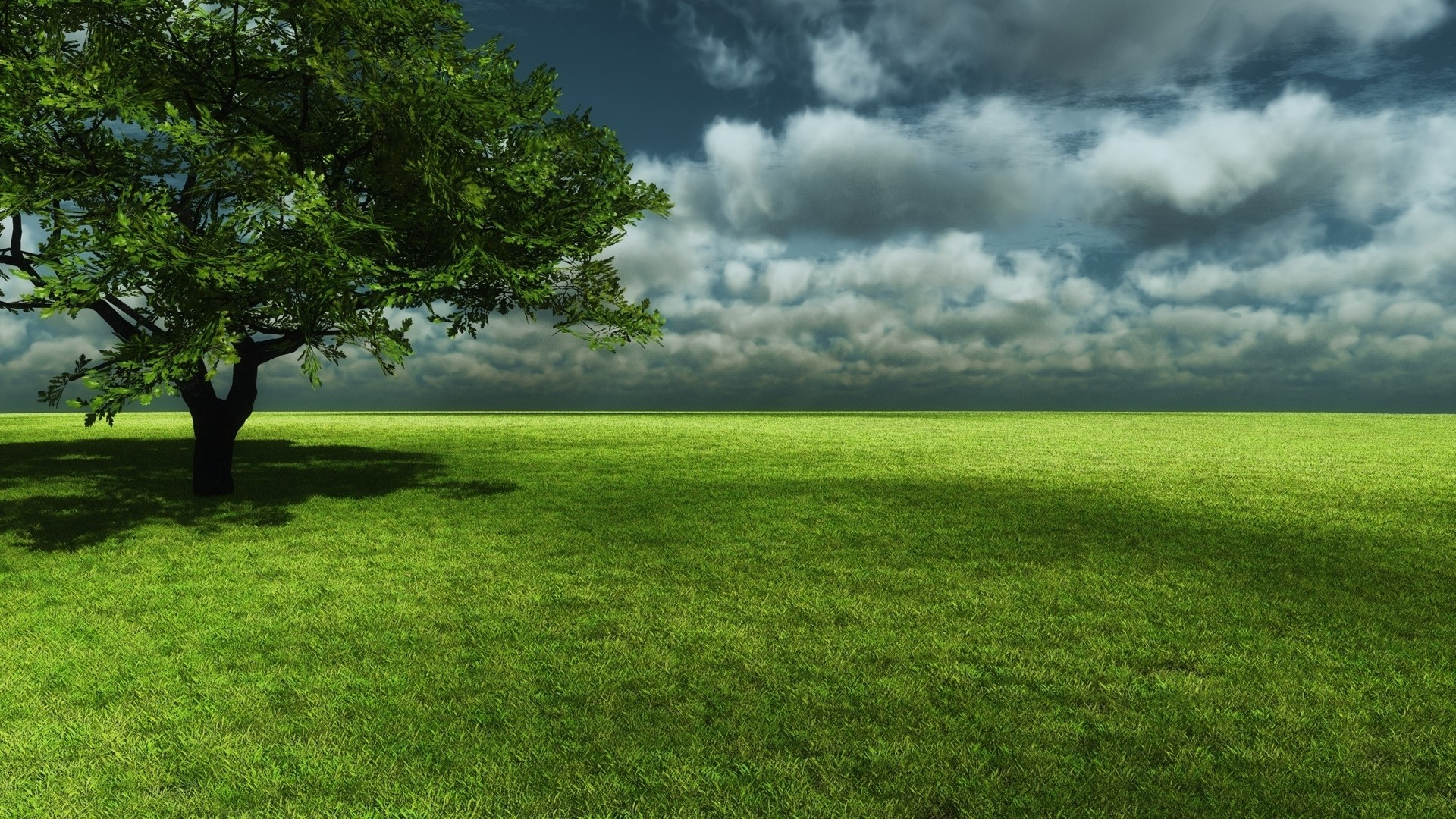 A lone tree in a vast green field under a cloudy sky HD Wallpaper