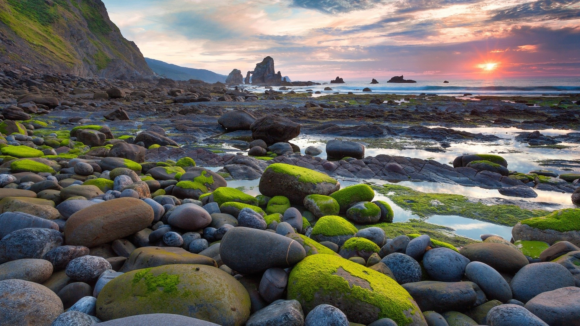 Rocky beach with moss-covered stones at sunset HD Wallpaper