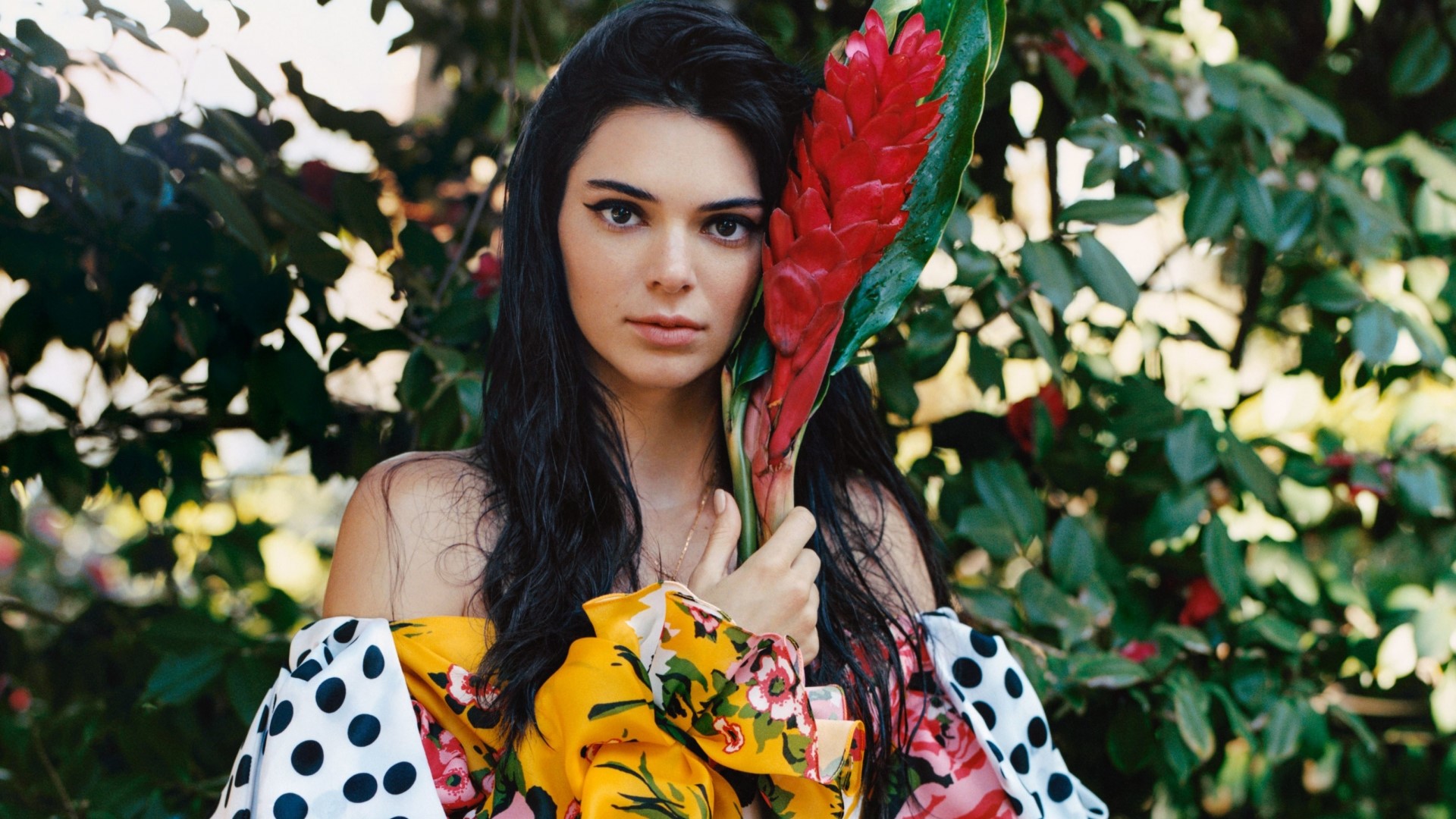 Kendall Jenner holding a red flower HD Wallpaper