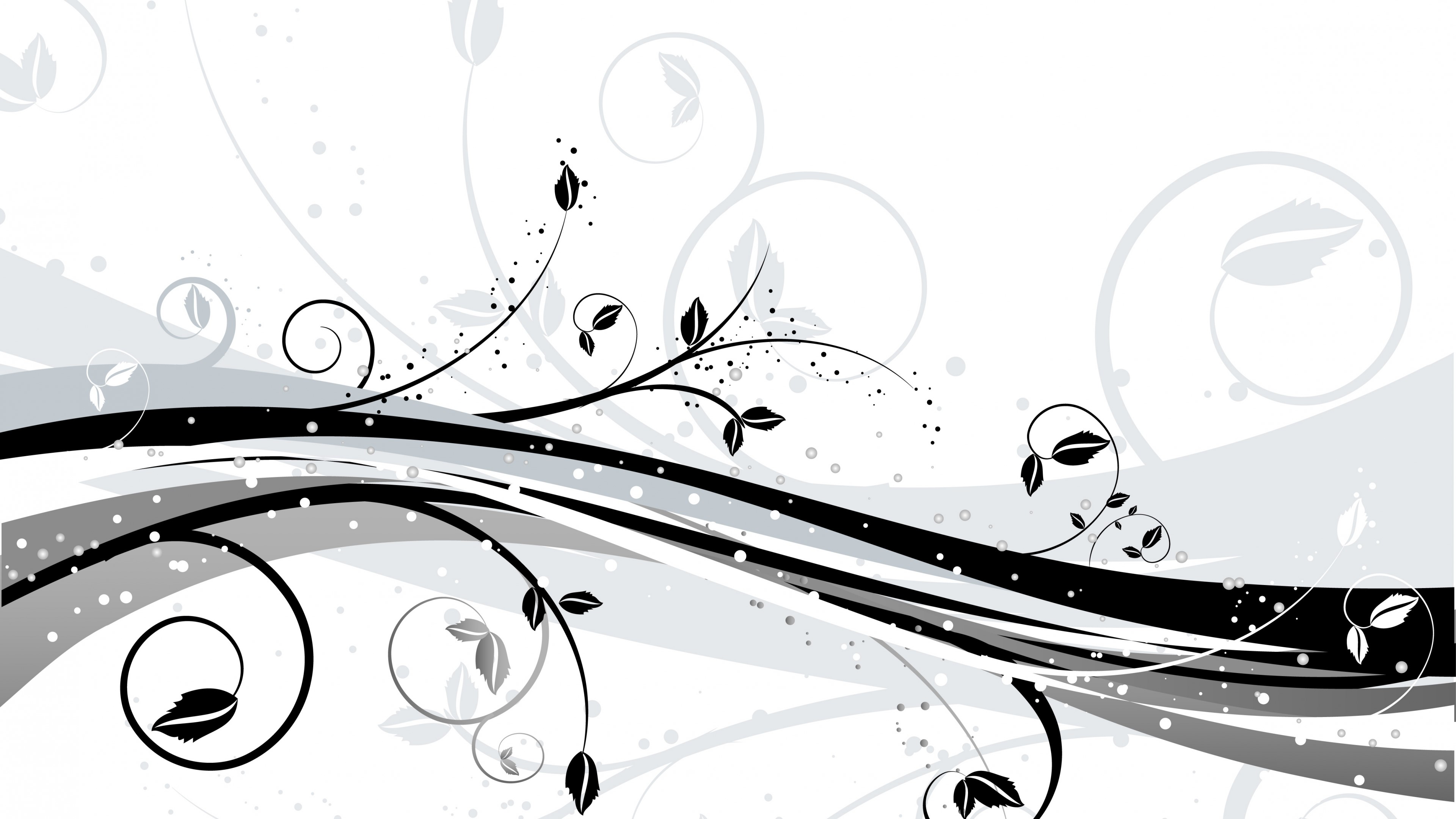 4K White Black Floral Swirls HD Wallpaper