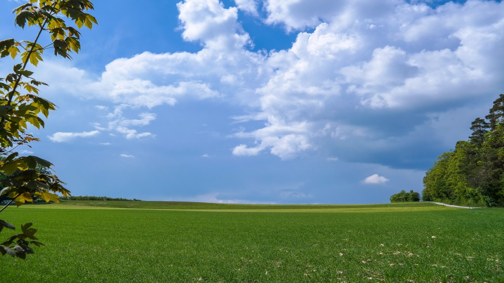 Green field under a cloudy blue sky HD Wallpaper