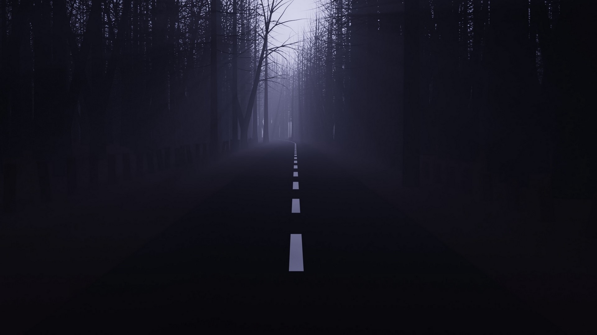 Dark forest road with white dashed line HD Wallpaper