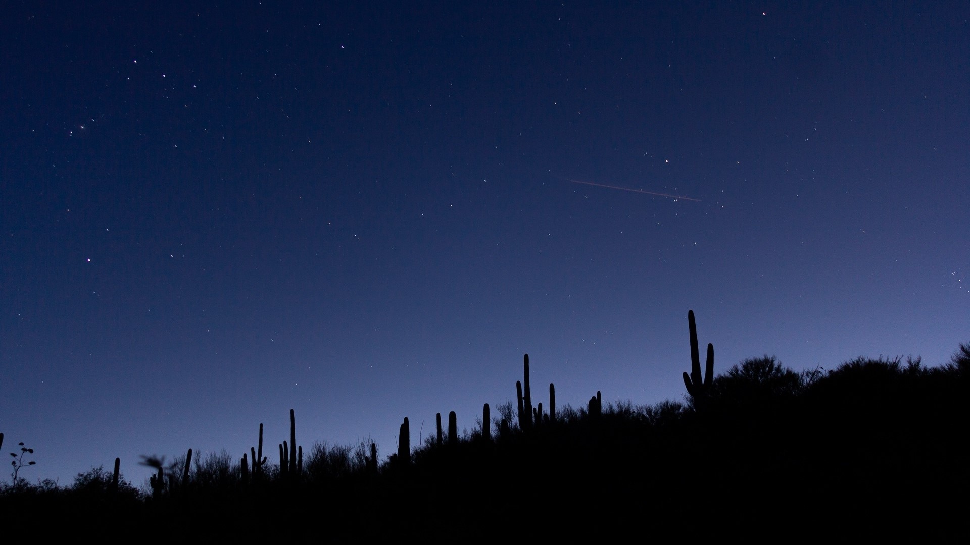 Starry night sky over desert landscape with saguaro cacti HD Wallpaper