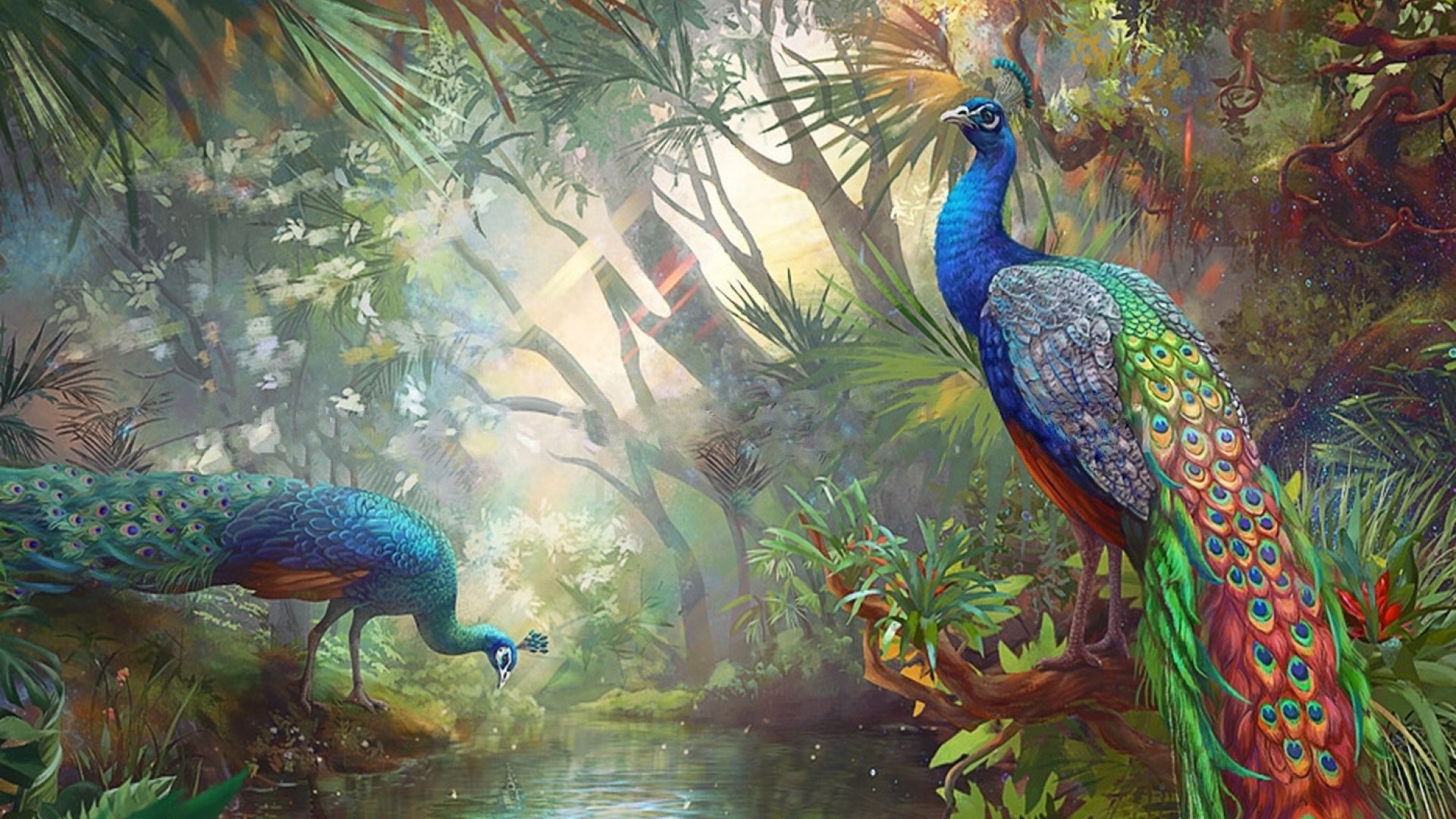 Two peacocks in a jungle by a stream HD Wallpaper