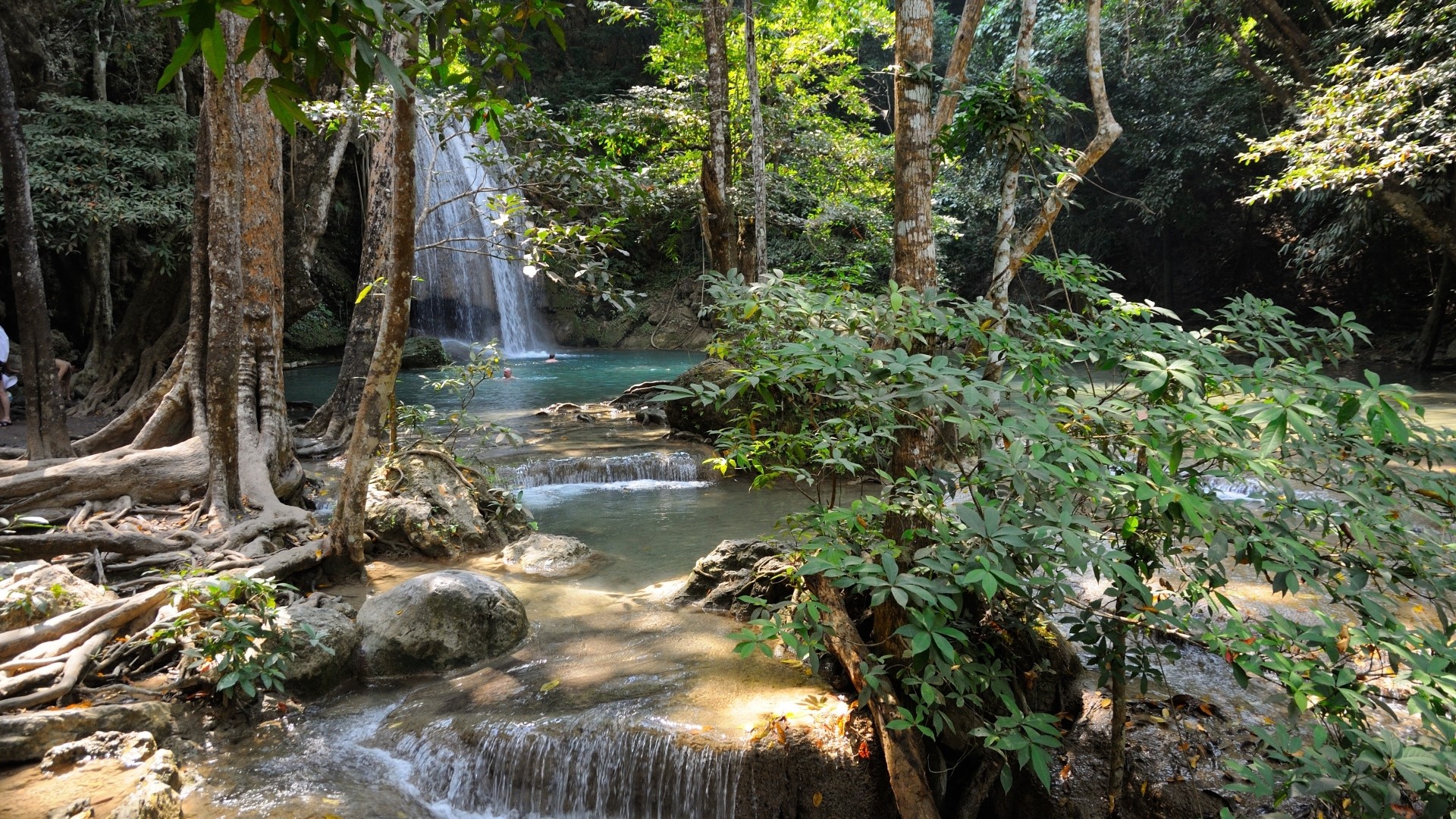 Waterfall in a lush green forest with people swimming HD Wallpaper