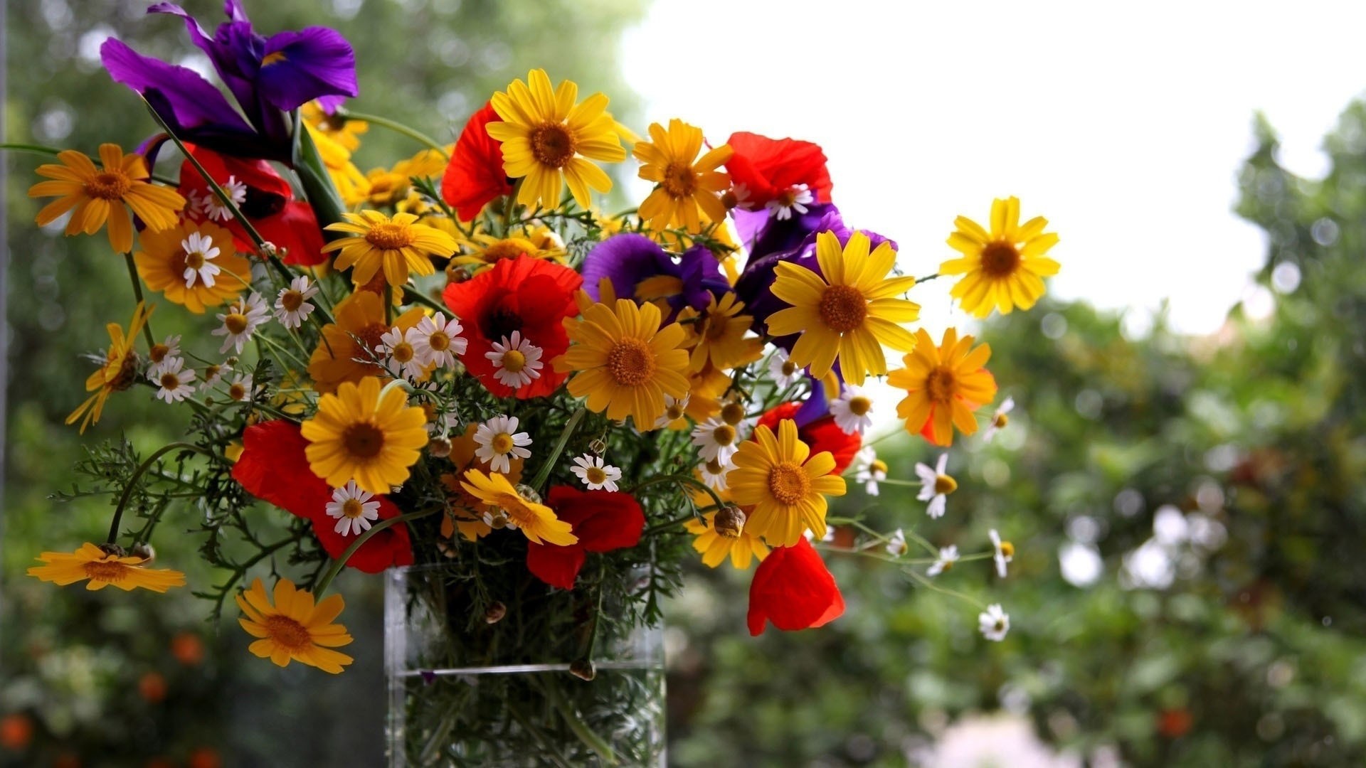 A colorful bouquet of wildflowers in a vase HD Wallpaper