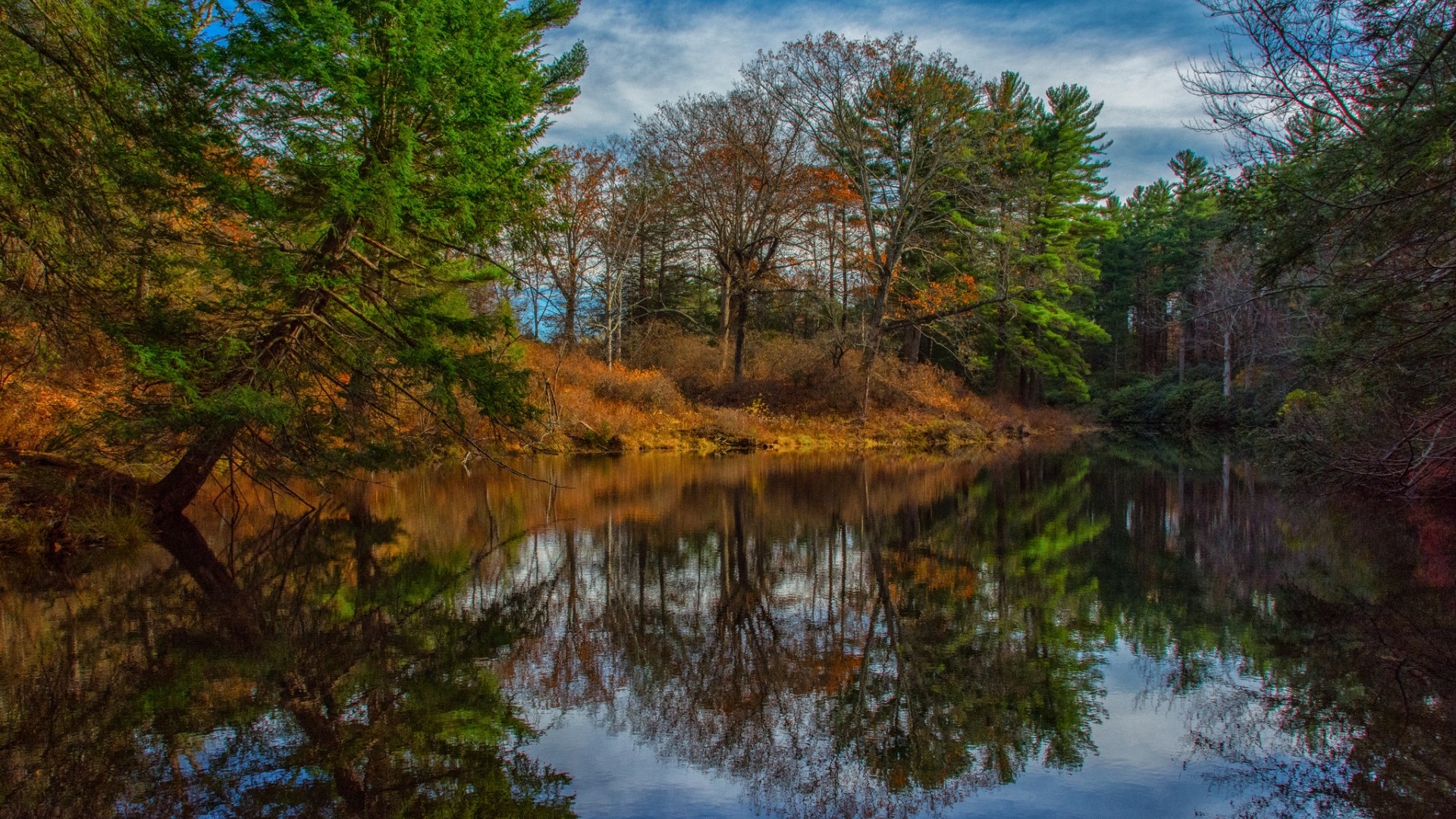 Autumn forest reflected in a calm river HD Wallpaper