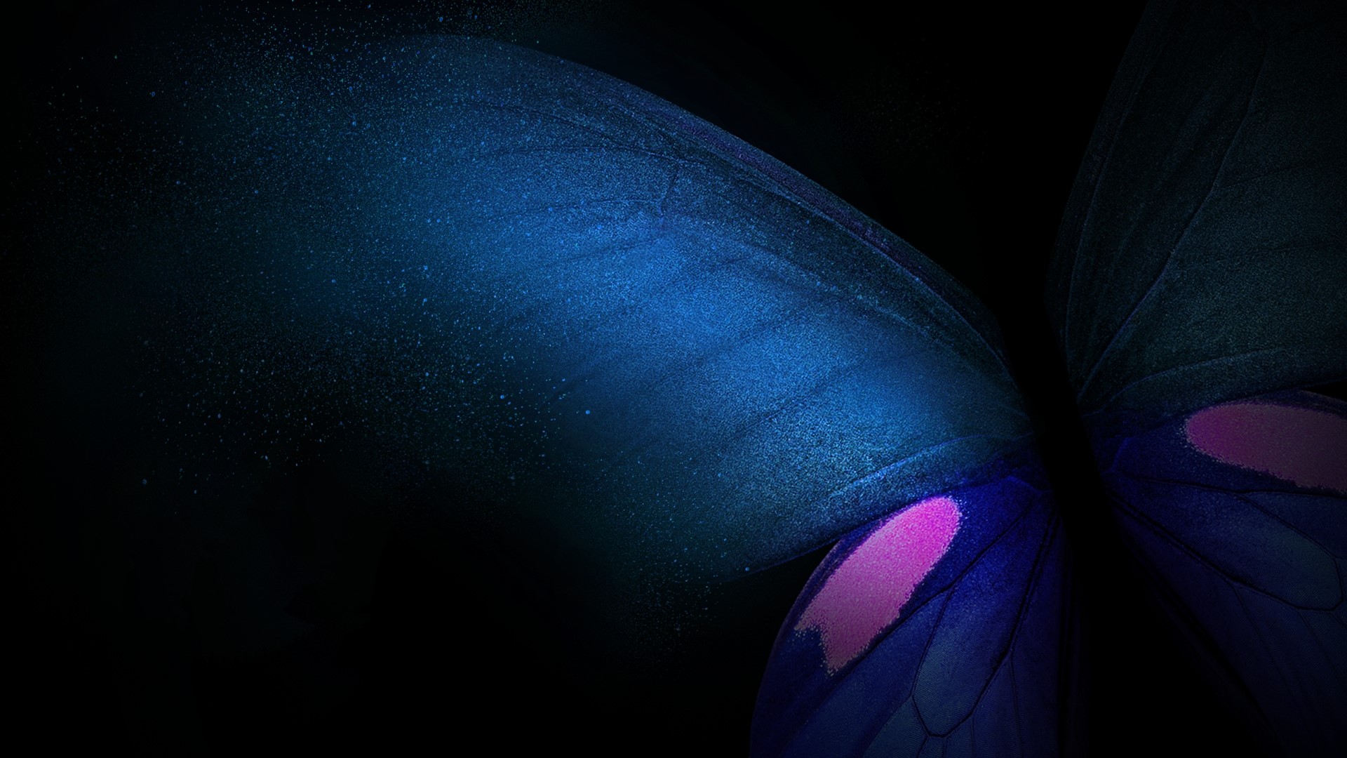 Abstract Blue and Pink Butterfly Wings HD Wallpaper