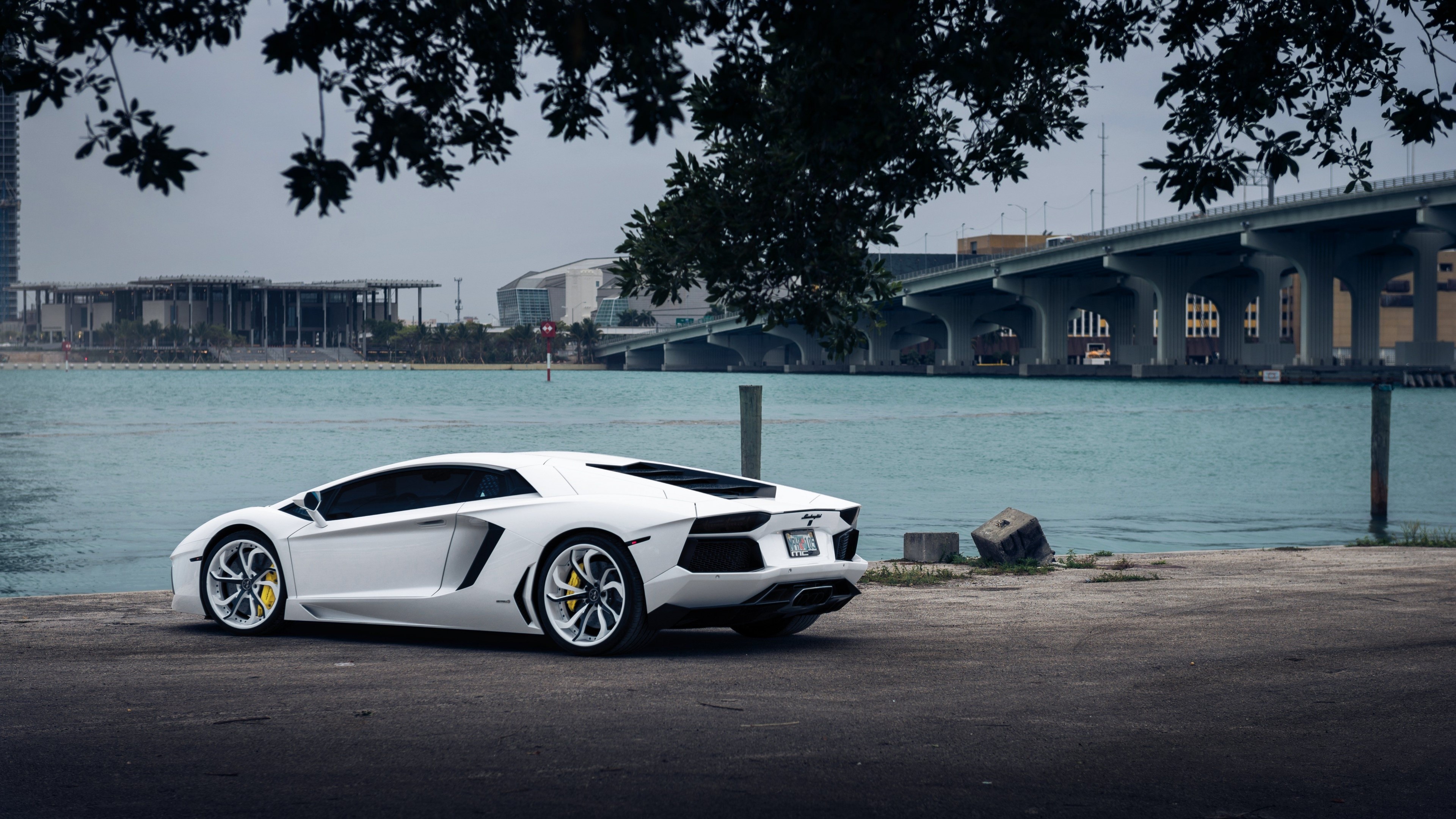 4K White Lamborghini Aventador by the Water HD Wallpaper