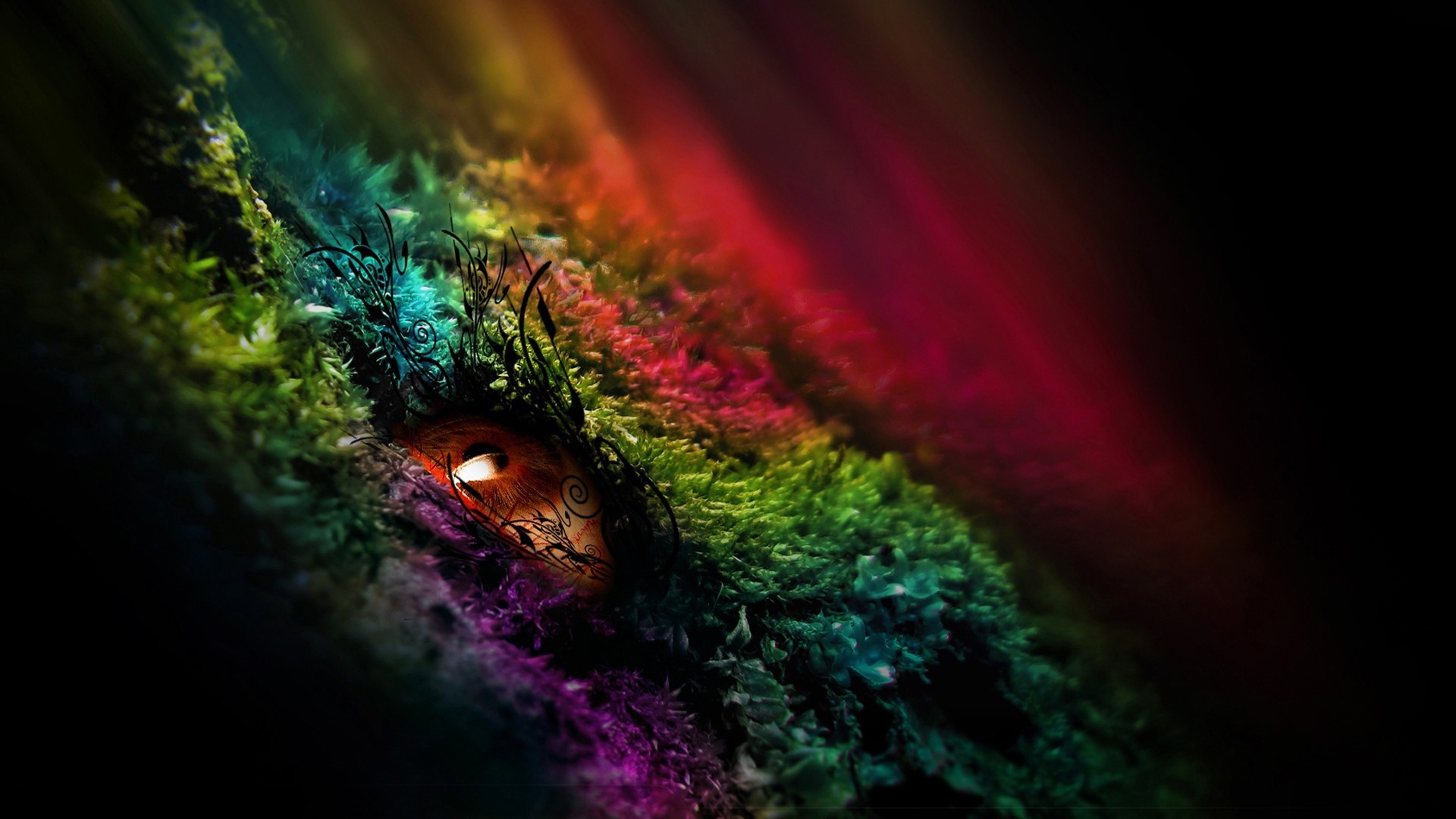 Fantasy eye with rainbow moss HD Wallpaper