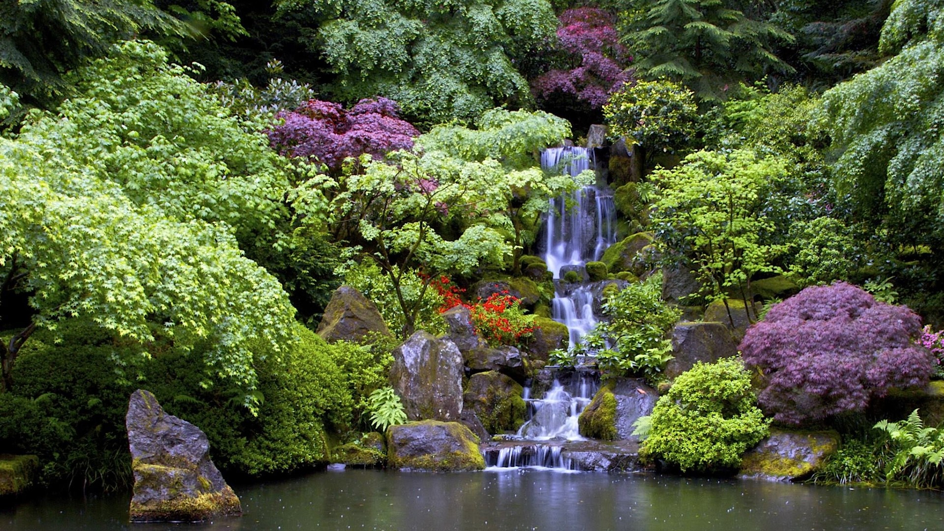 Waterfall in a lush Japanese garden with colorful foliage HD Wallpaper