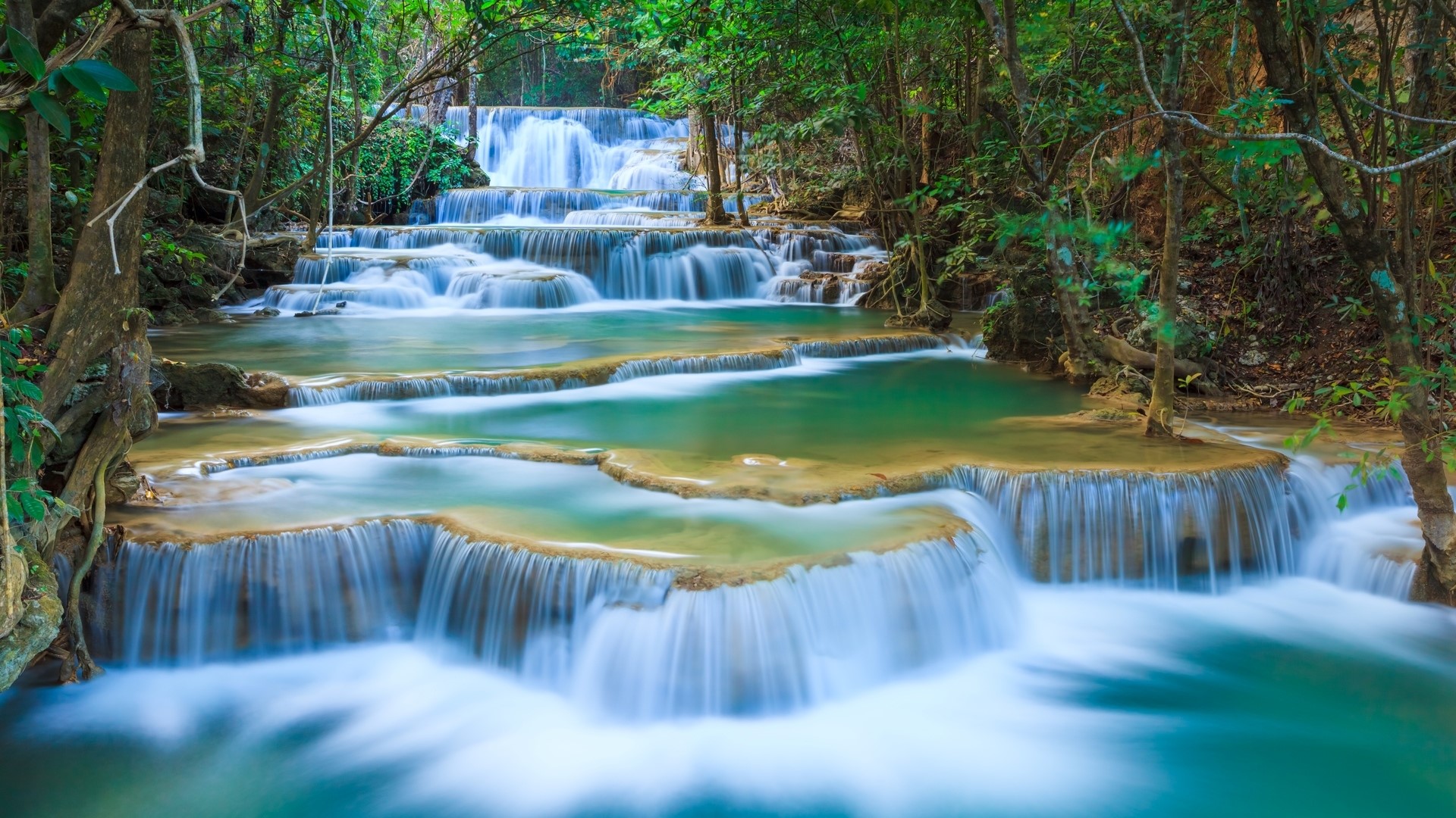 Tiered waterfall in a lush green forest HD Wallpaper