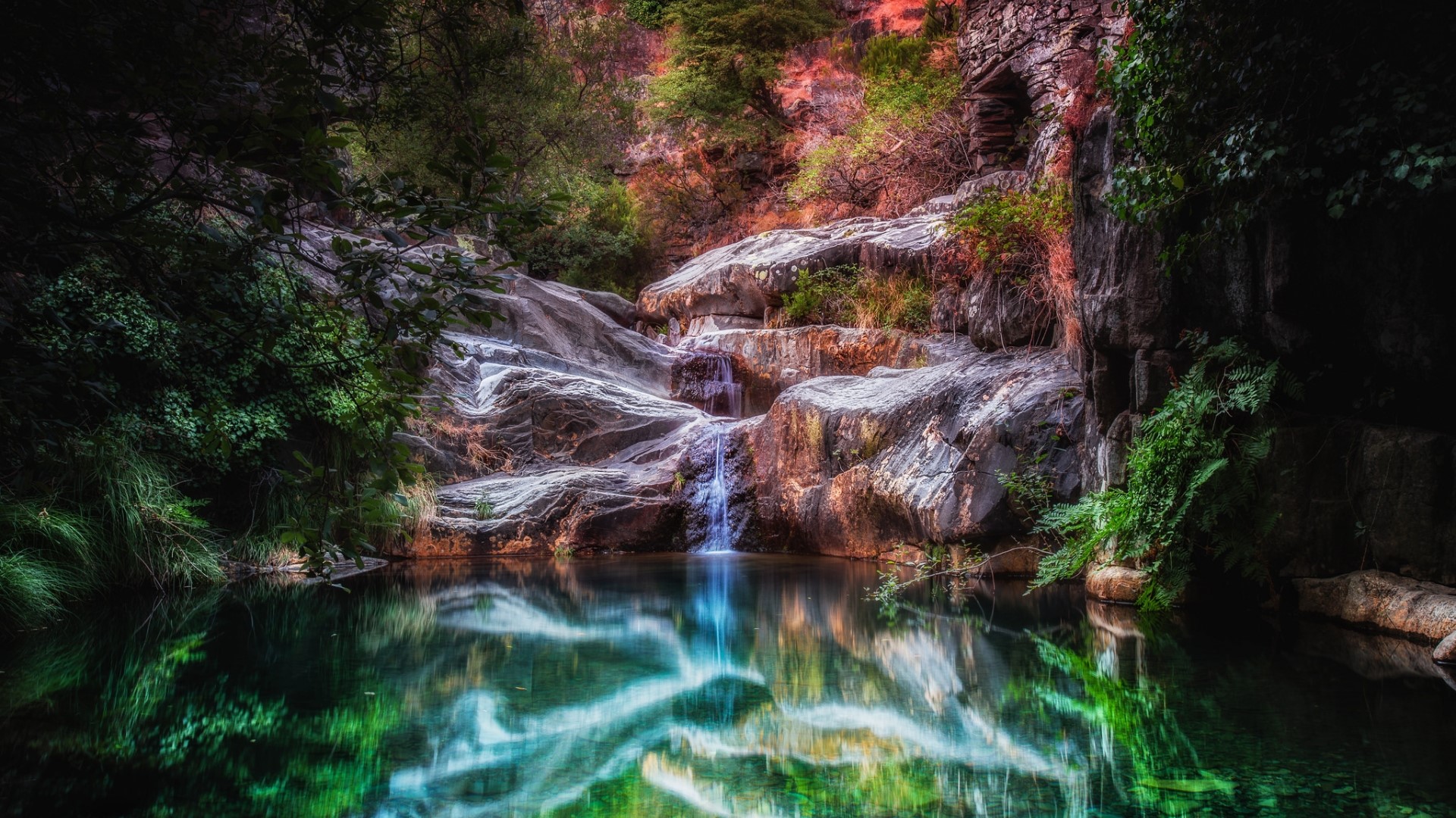 Waterfall cascading into a pool surrounded by rocks and foliage HD Wallpaper