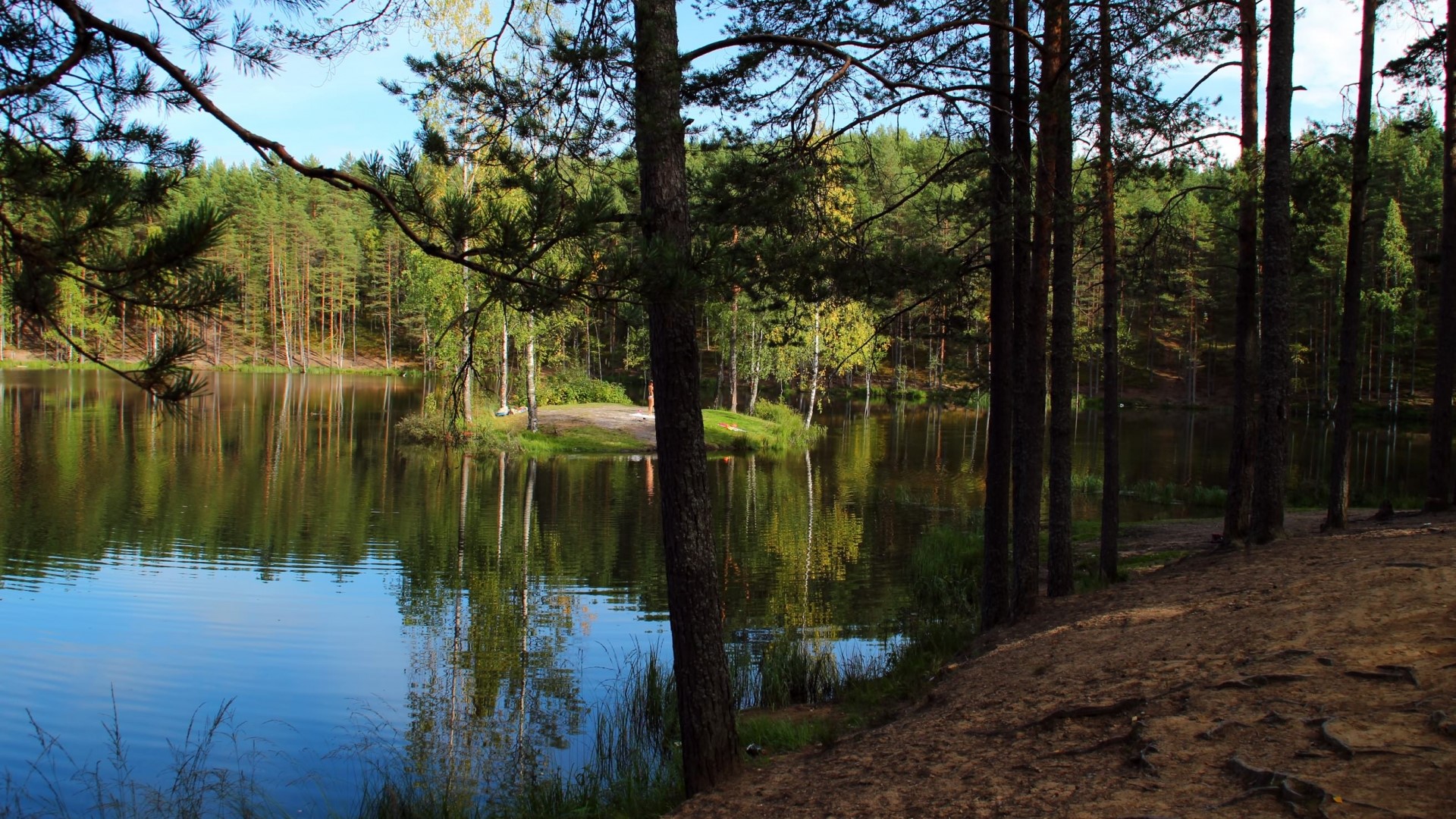 Island in a forest lake HD Wallpaper