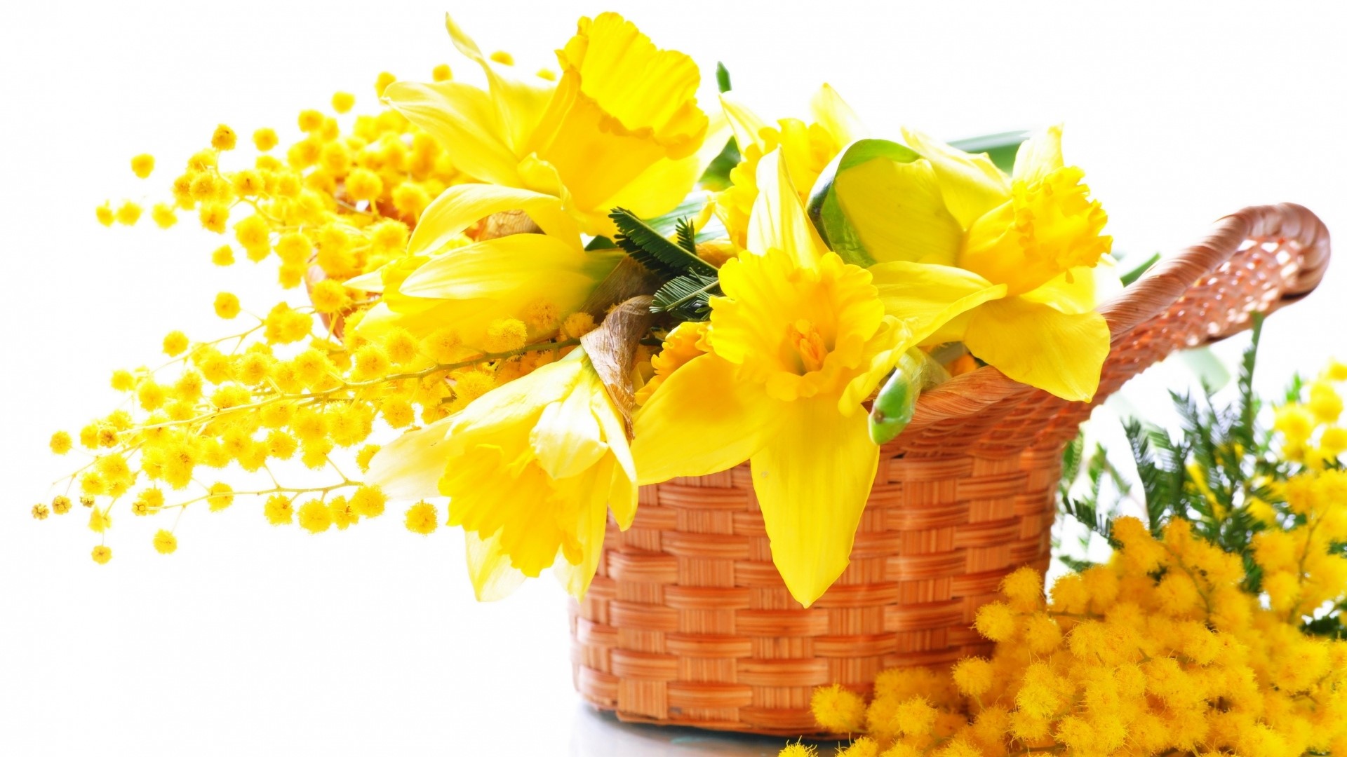 Yellow daffodils and mimosa flowers in a basket HD Wallpaper