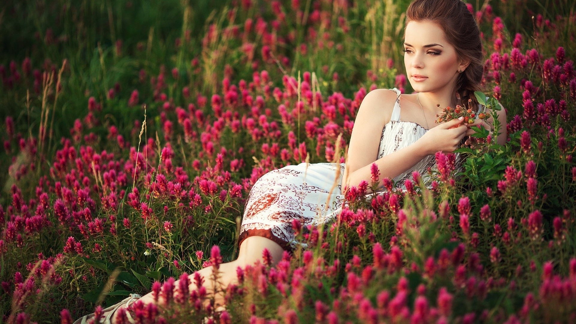 Model in a field of pink flowers HD Wallpaper