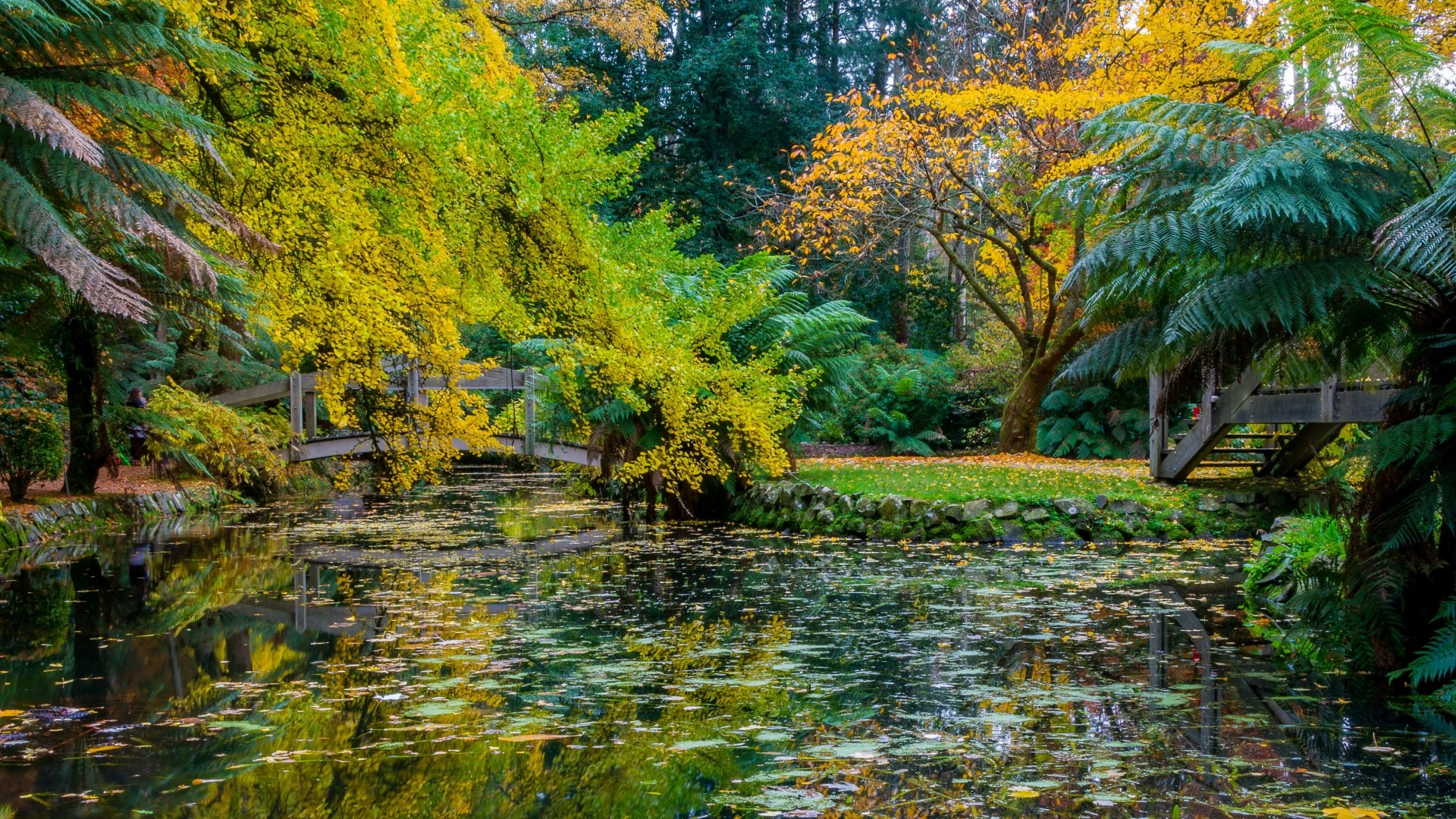 Alfred Nicholas Memorial Gardens in Autumn HD Wallpaper