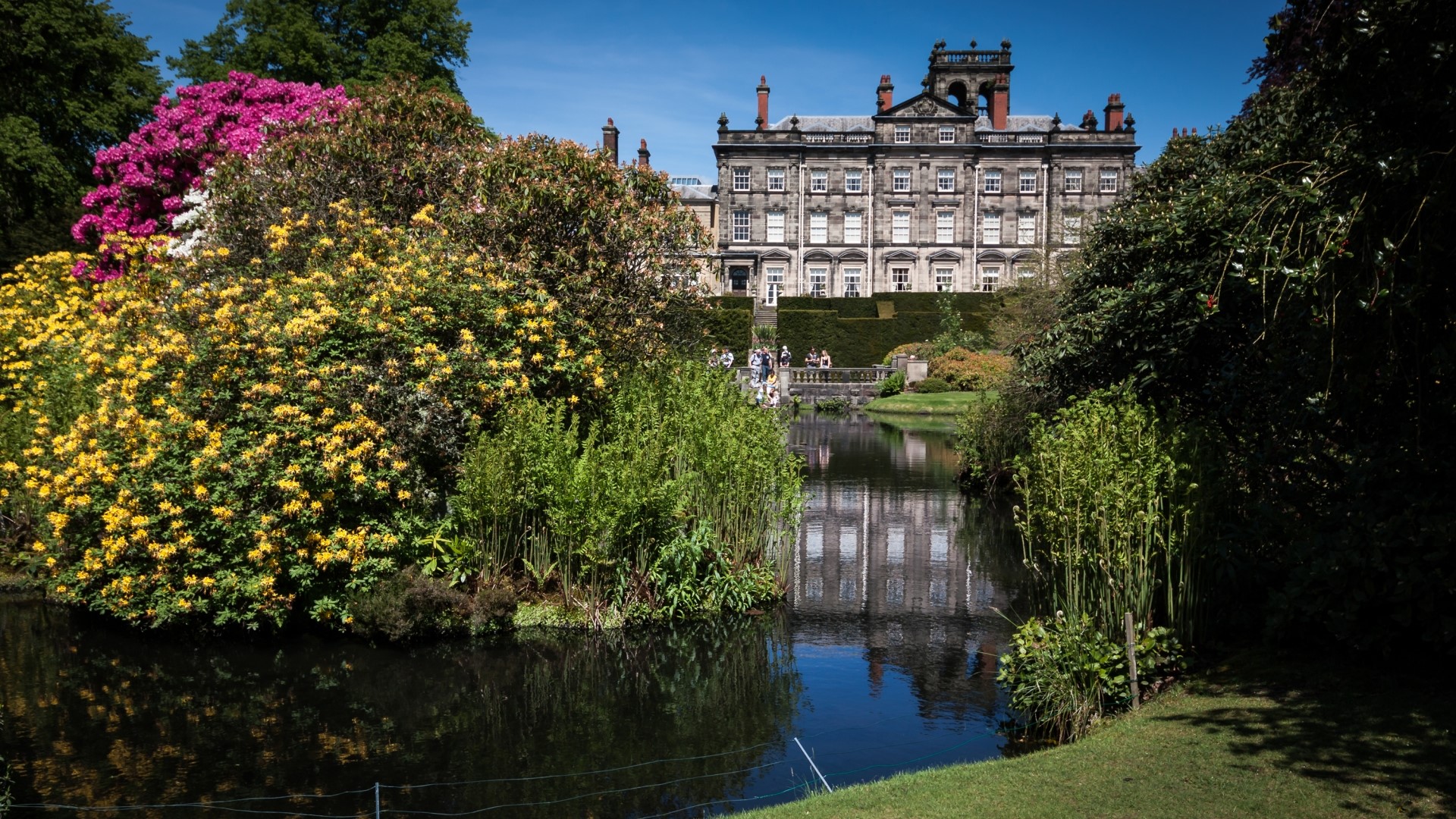 Palace garden with pond and blooming flowers HD Wallpaper